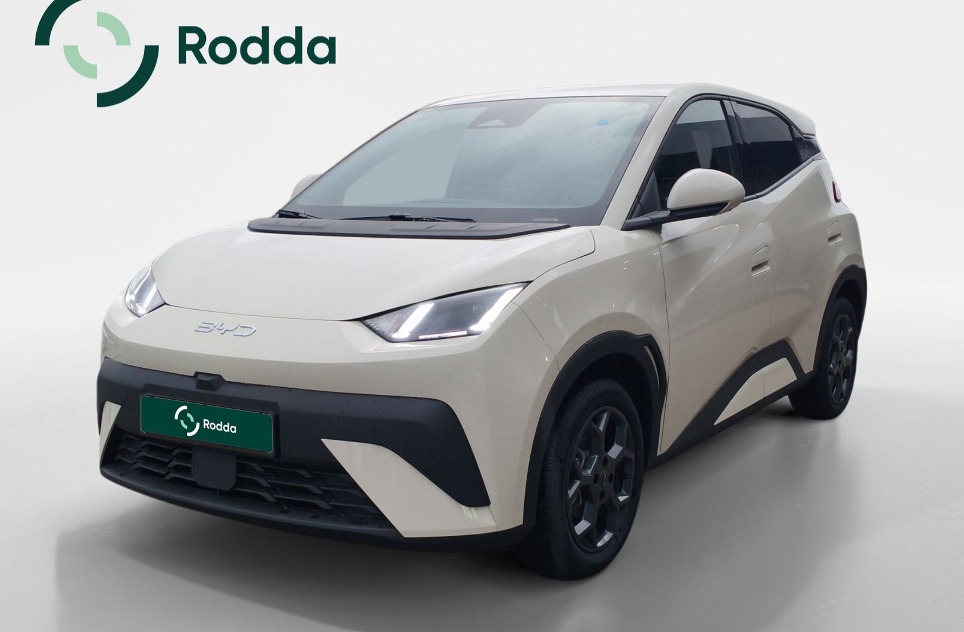 BYD Dolphin 60.4 kWh Design