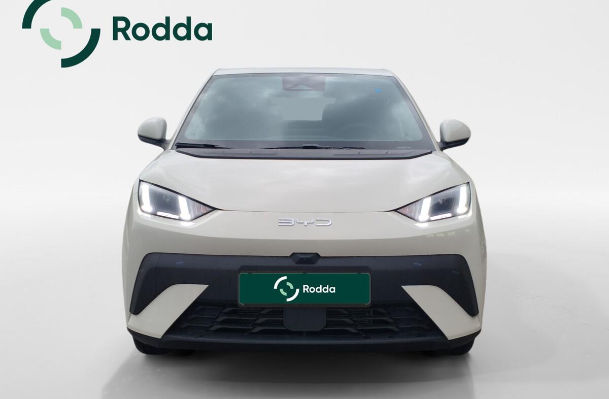 BYD Dolphin 60.4 kWh Design