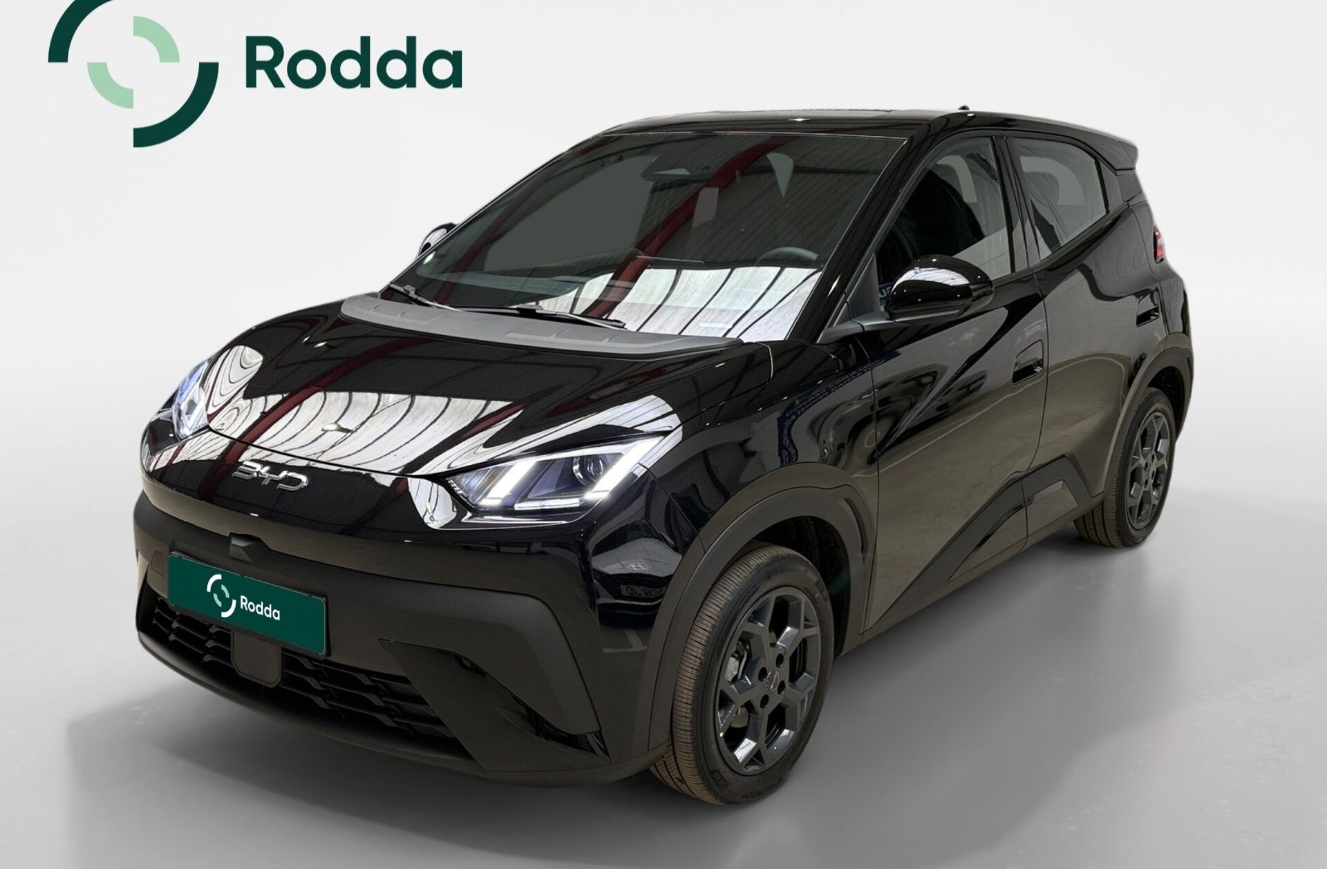 BYD Dolphin 60.4 kWh Design