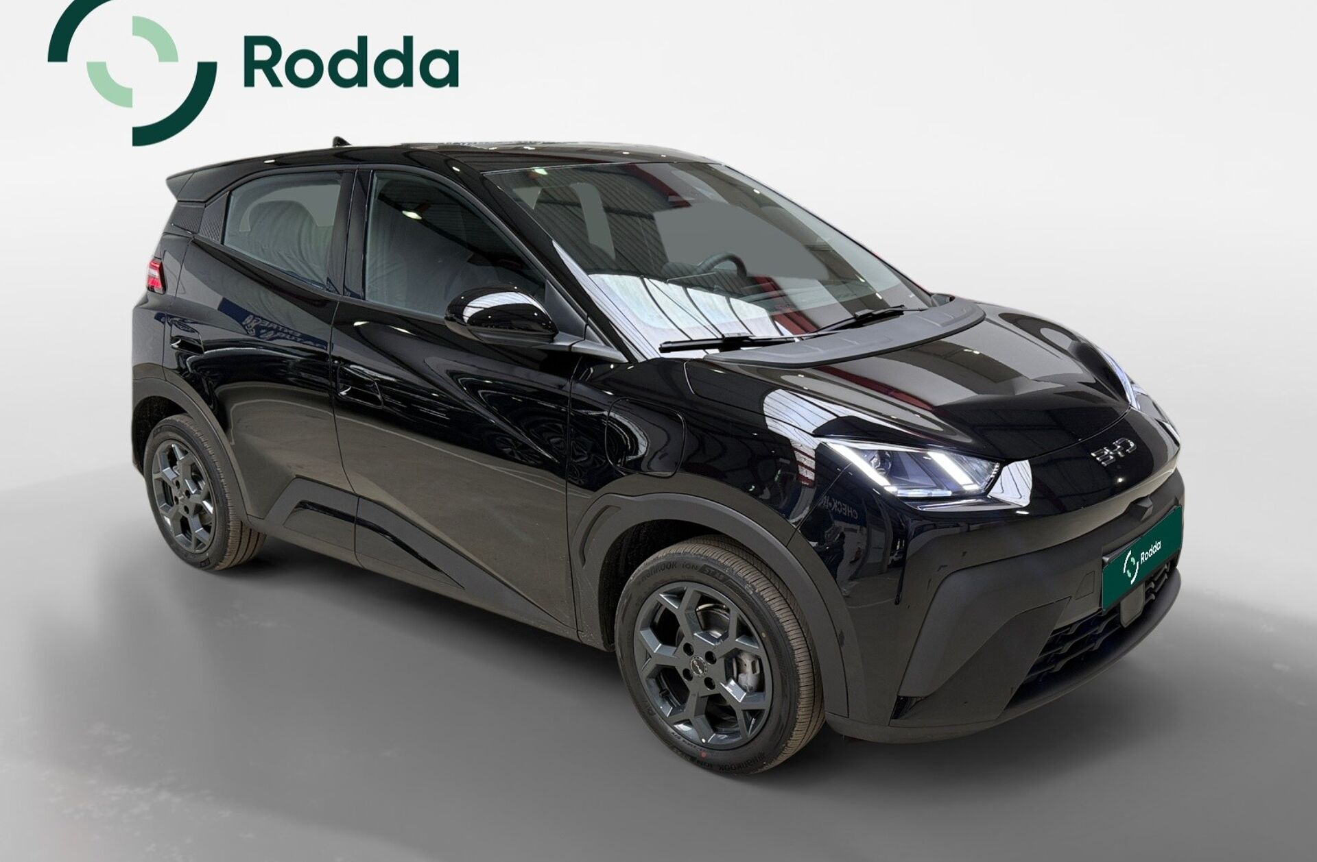 BYD Dolphin 60.4 kWh Design