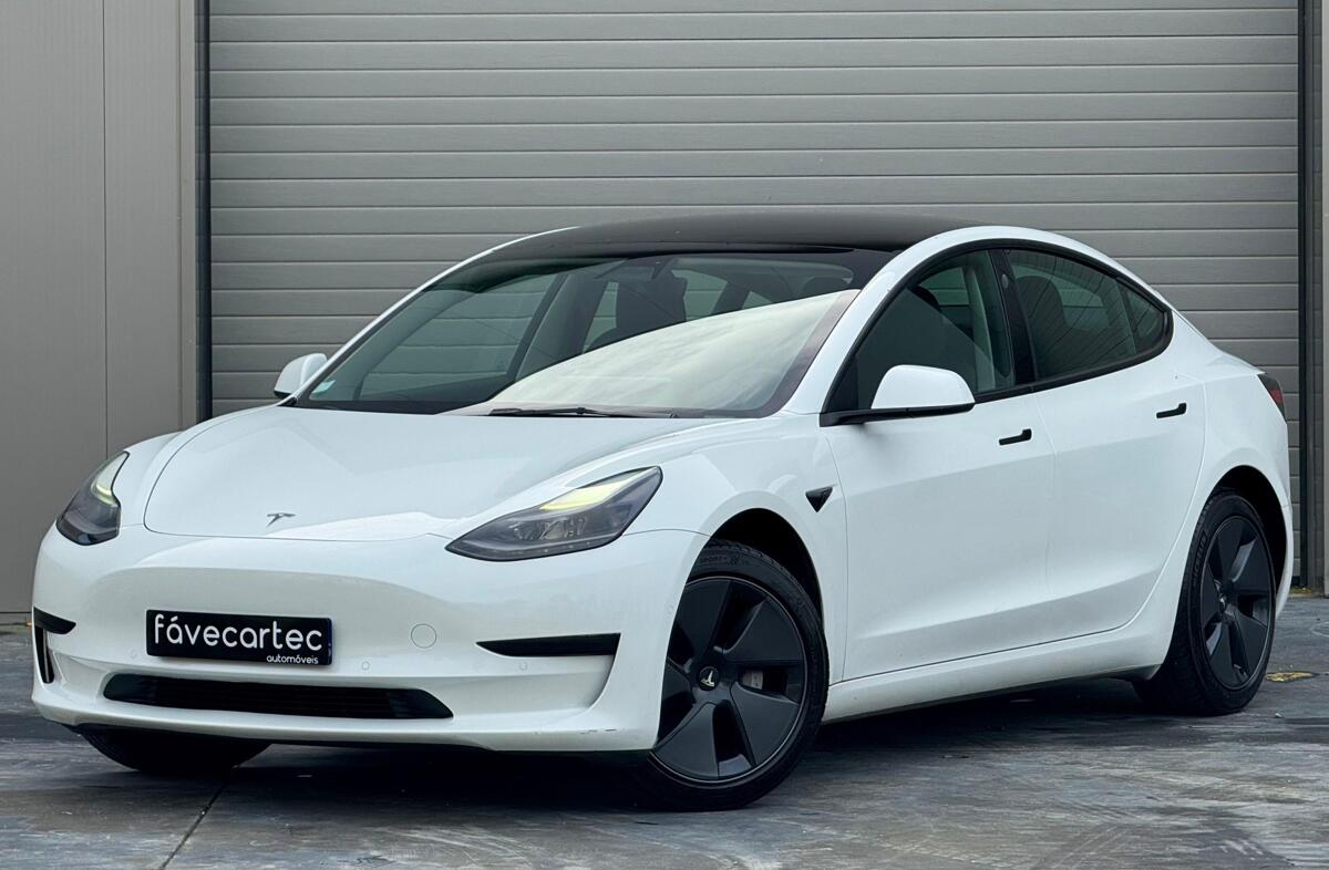 TESLA Model 3 Standard Range Plus RWD