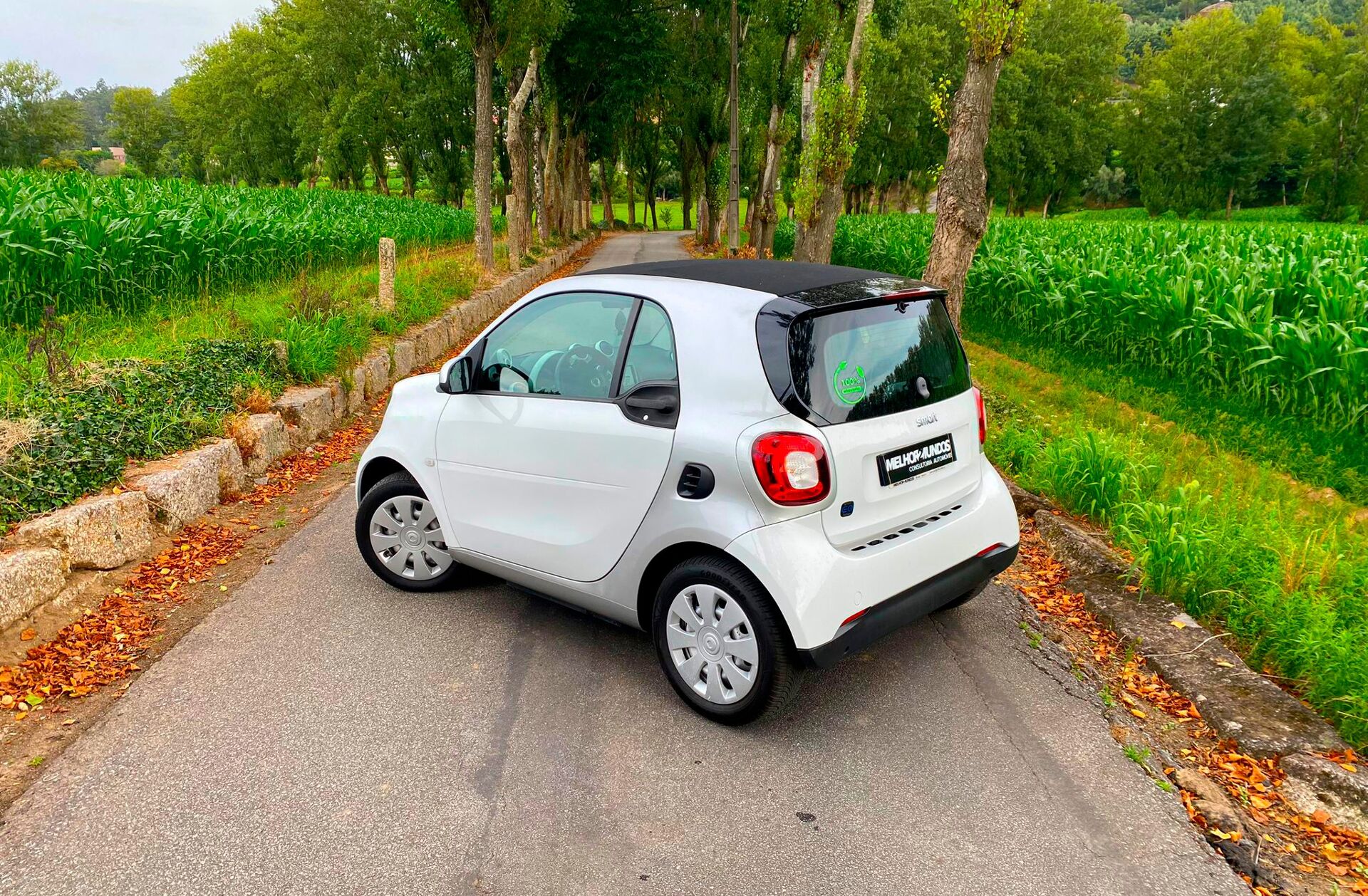 SMART Fortwo Electric Drive Perfect