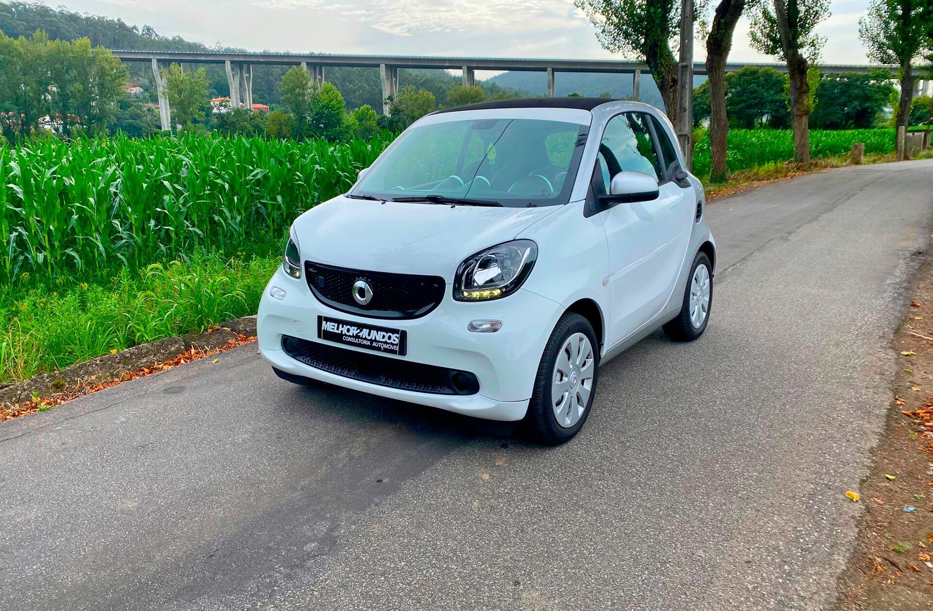 SMART Fortwo Electric Drive Perfect
