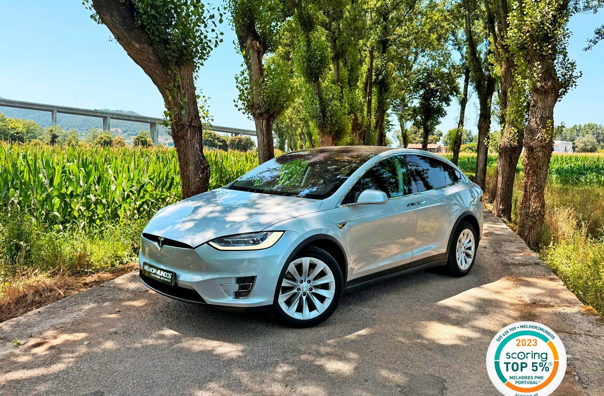 TESLA Model X 100D