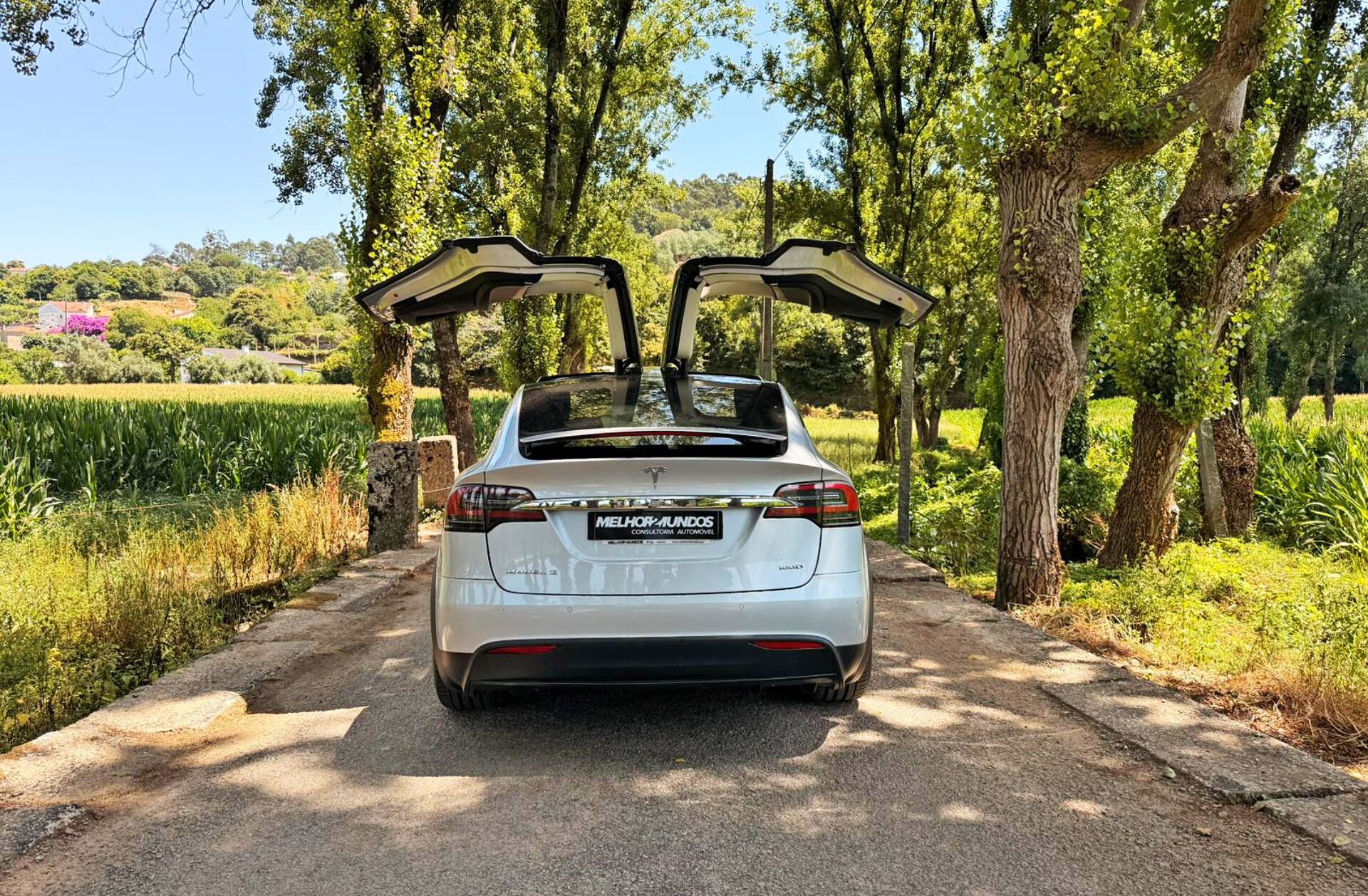 TESLA Model X 100D
