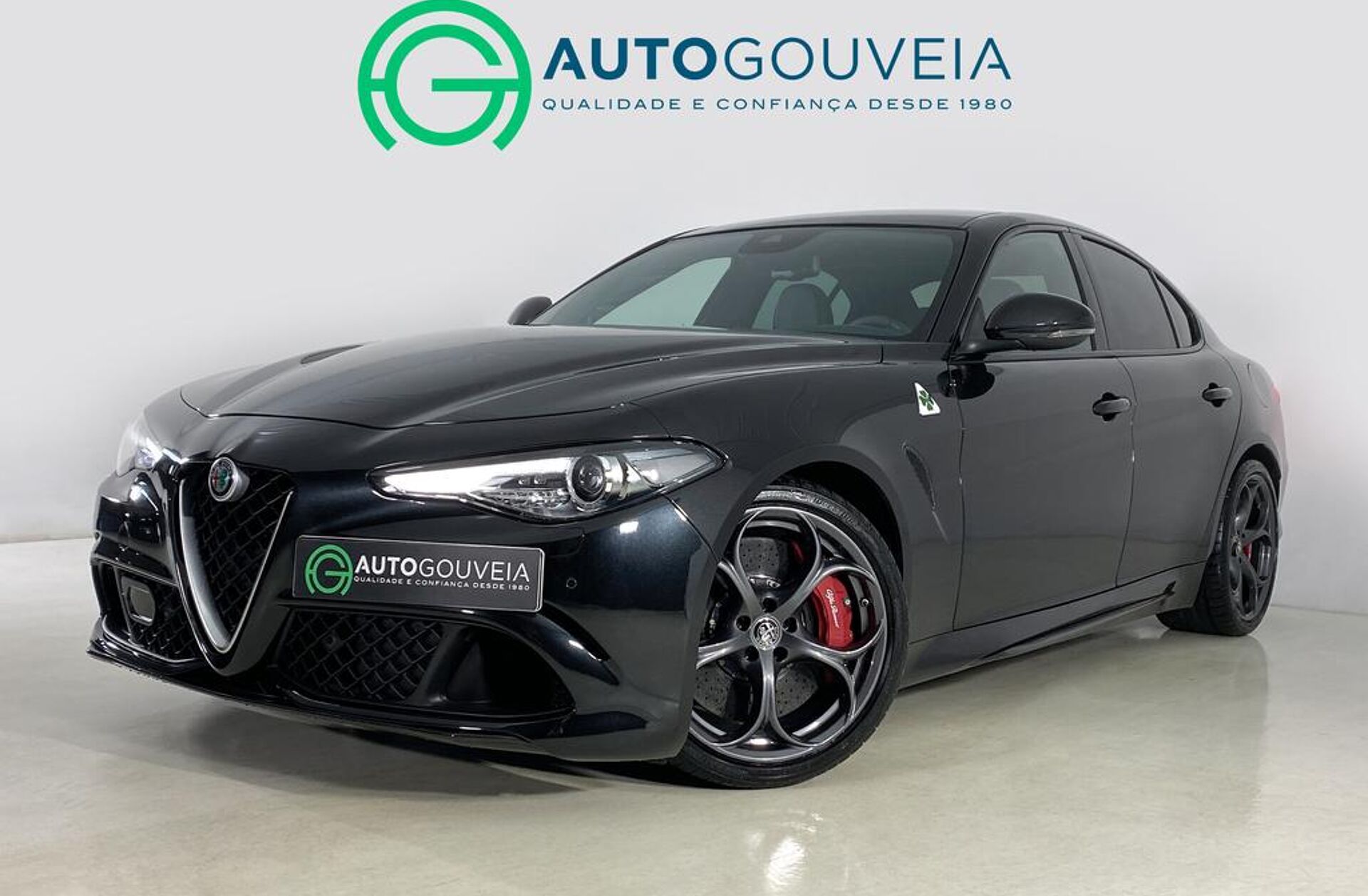 ALFA ROMEO Giulia 2.9 V6 Bi-Turbo Quadrifoglio