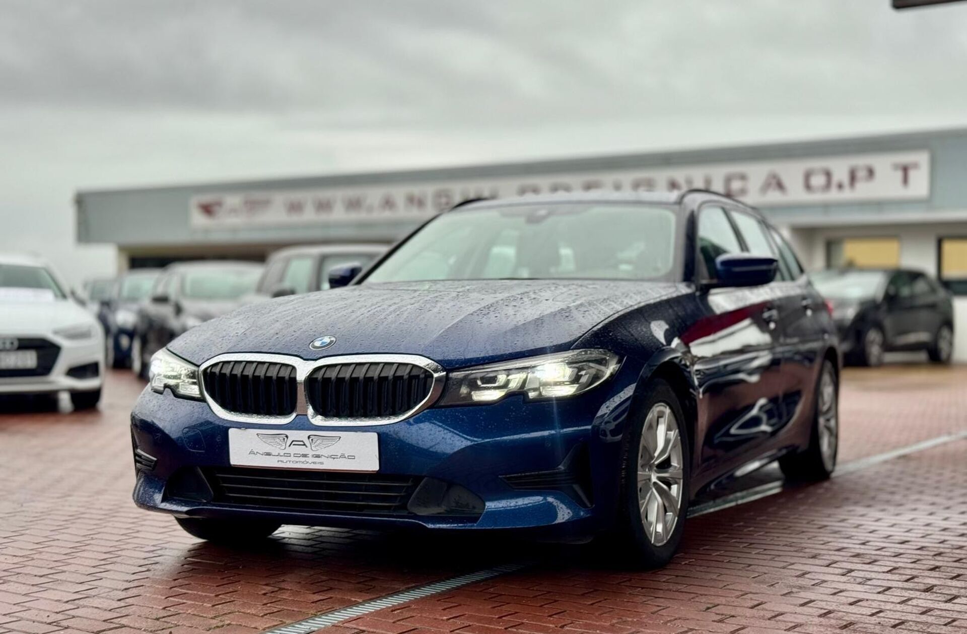 BMW Serie-3 318 d Touring Line Sport