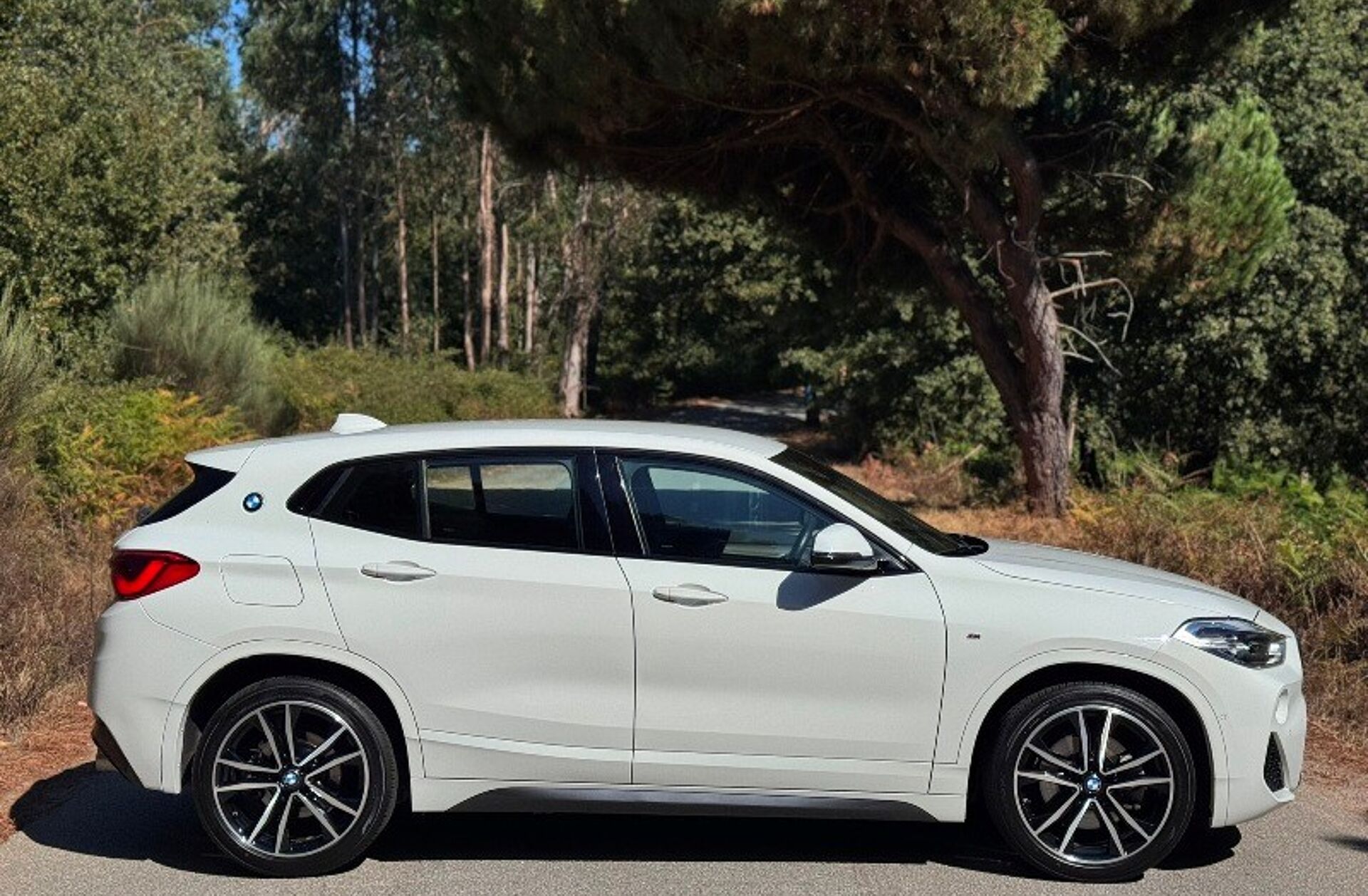 BMW X2 20 d xDrive Auto X Pack M