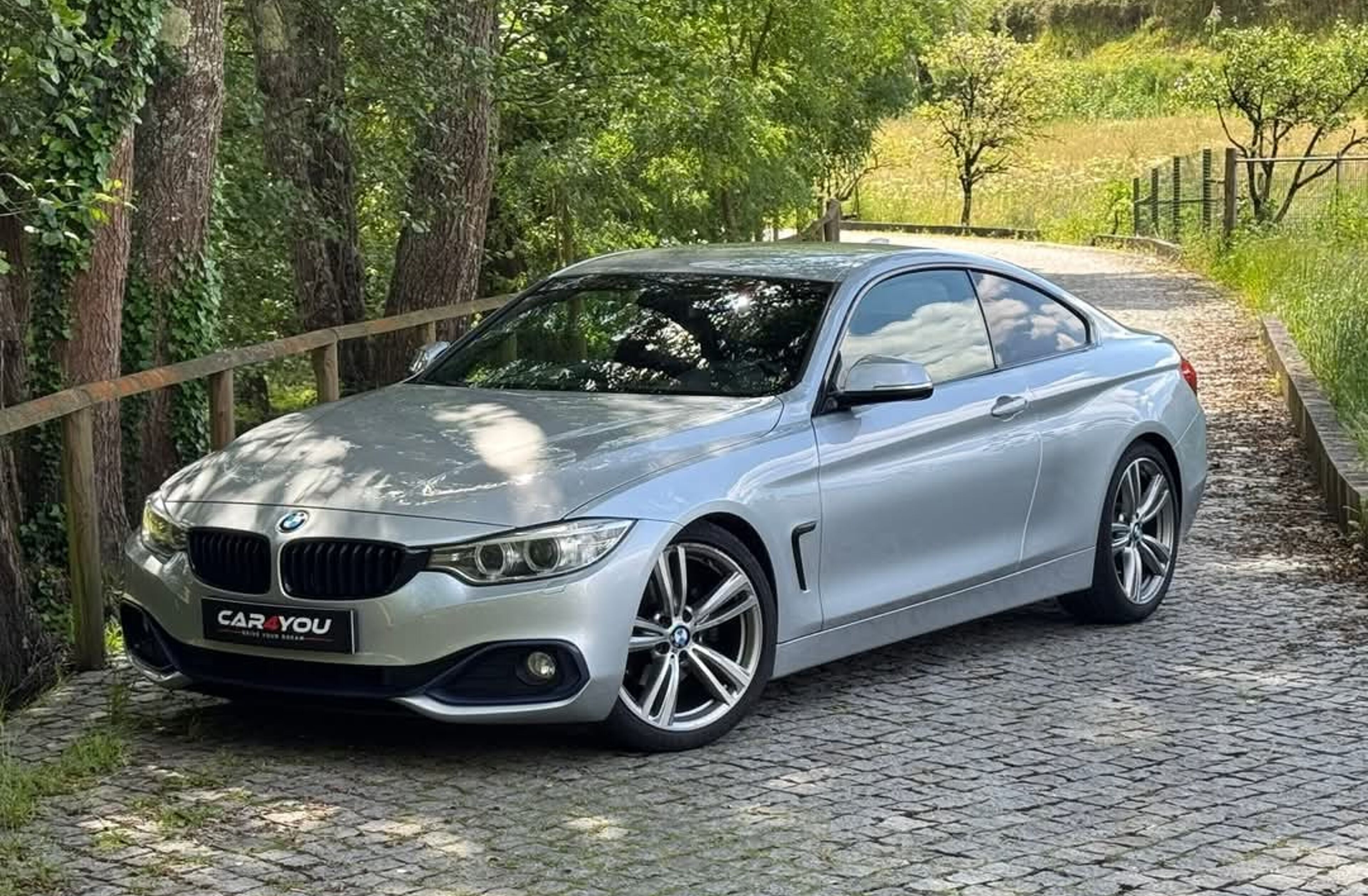 BMW Serie-4 420 d Line Sport Auto