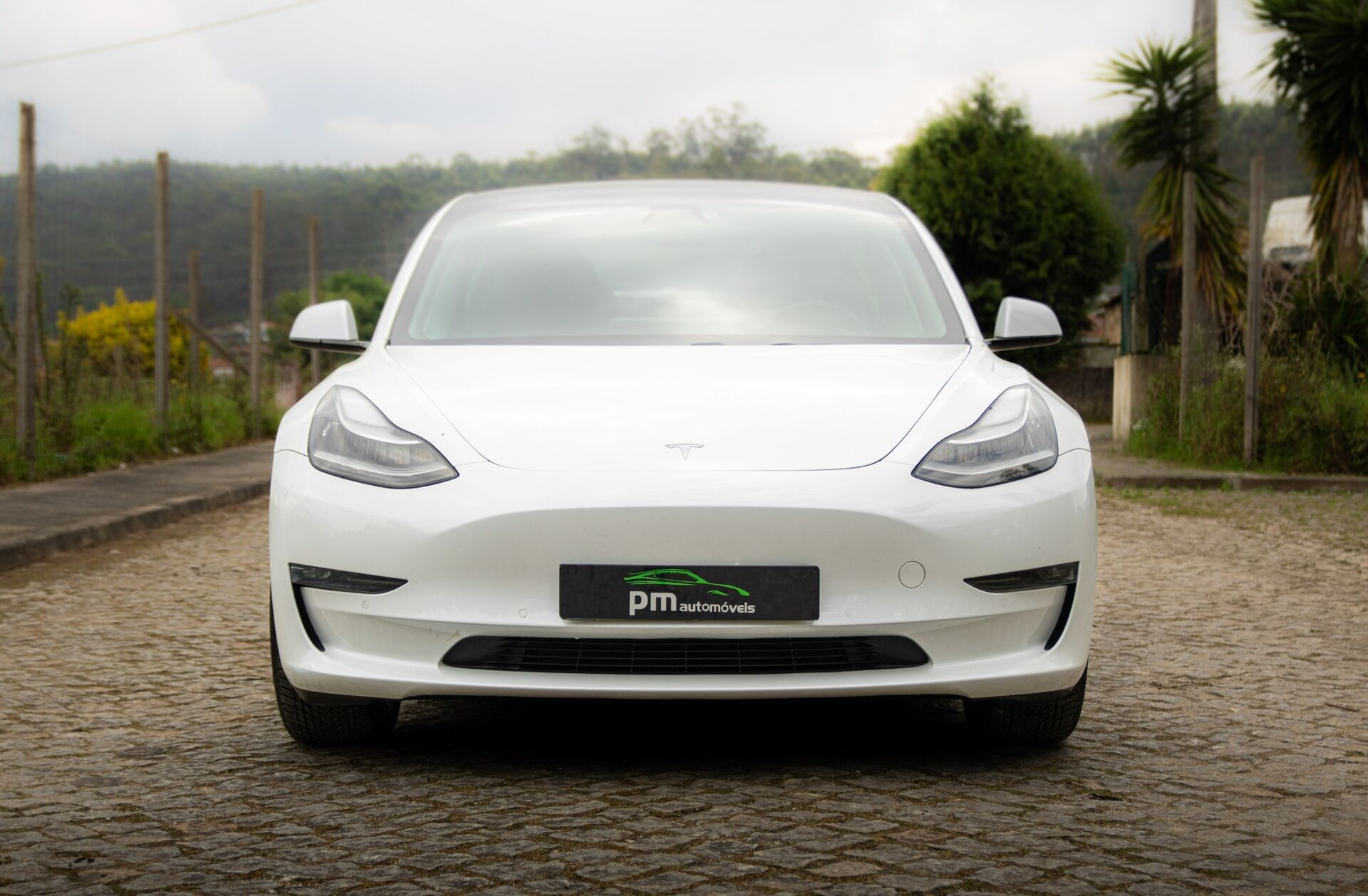 TESLA Model 3 Standard RWD Plus