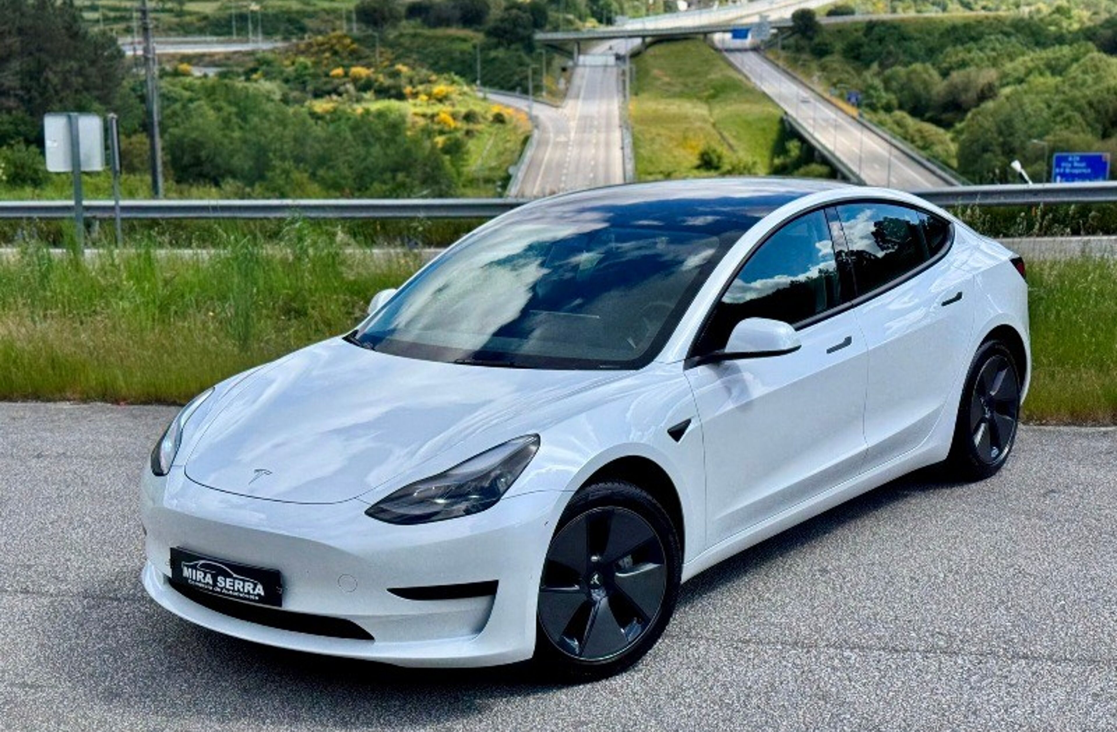 TESLA Model 3 Standard Range Plus RWD