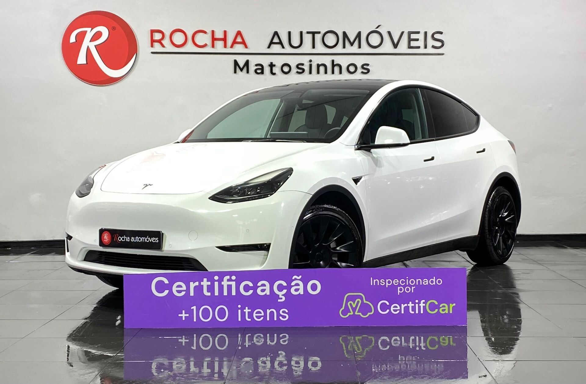 TESLA Model Y RWD