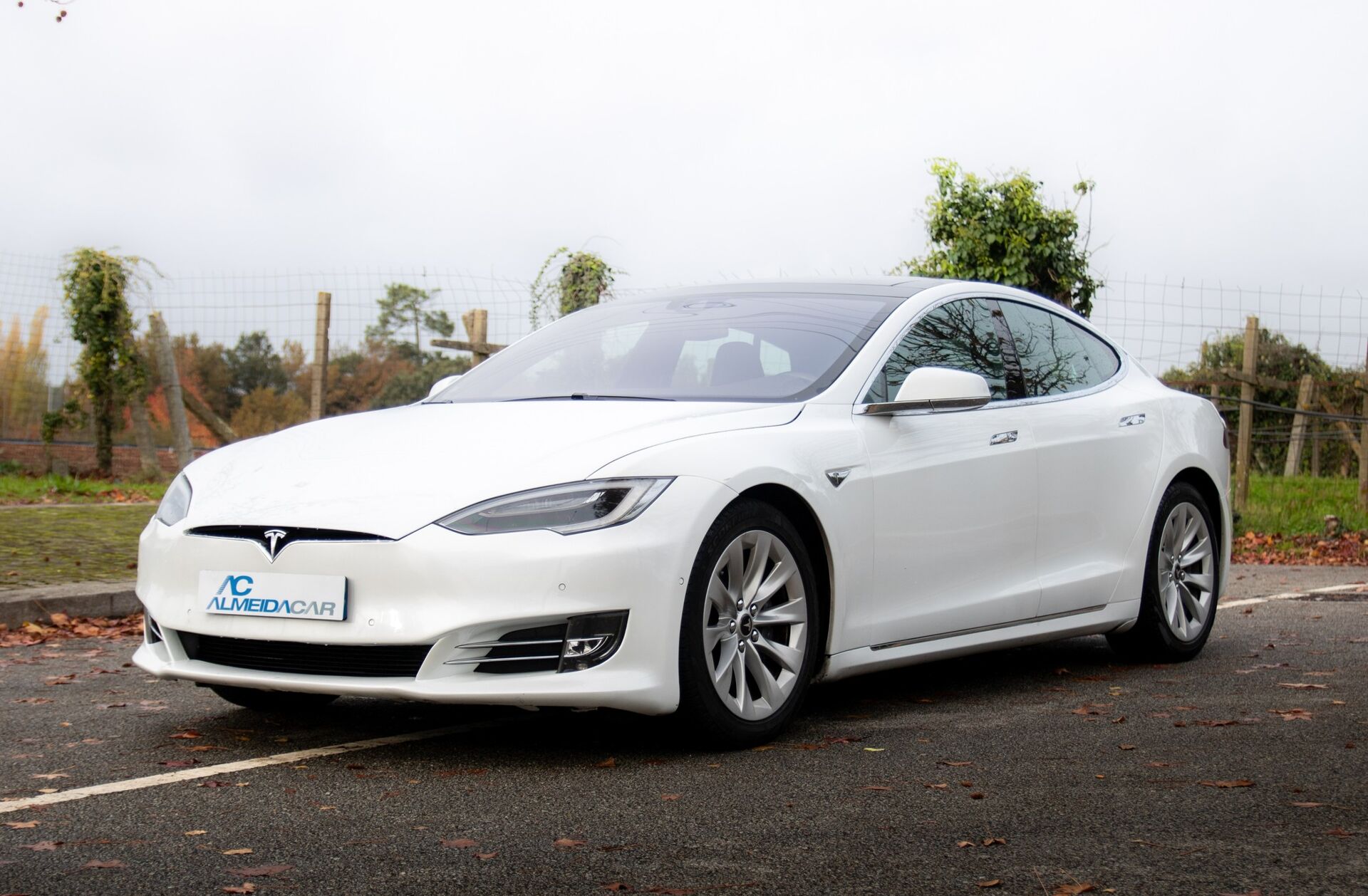 TESLA Model S 90D