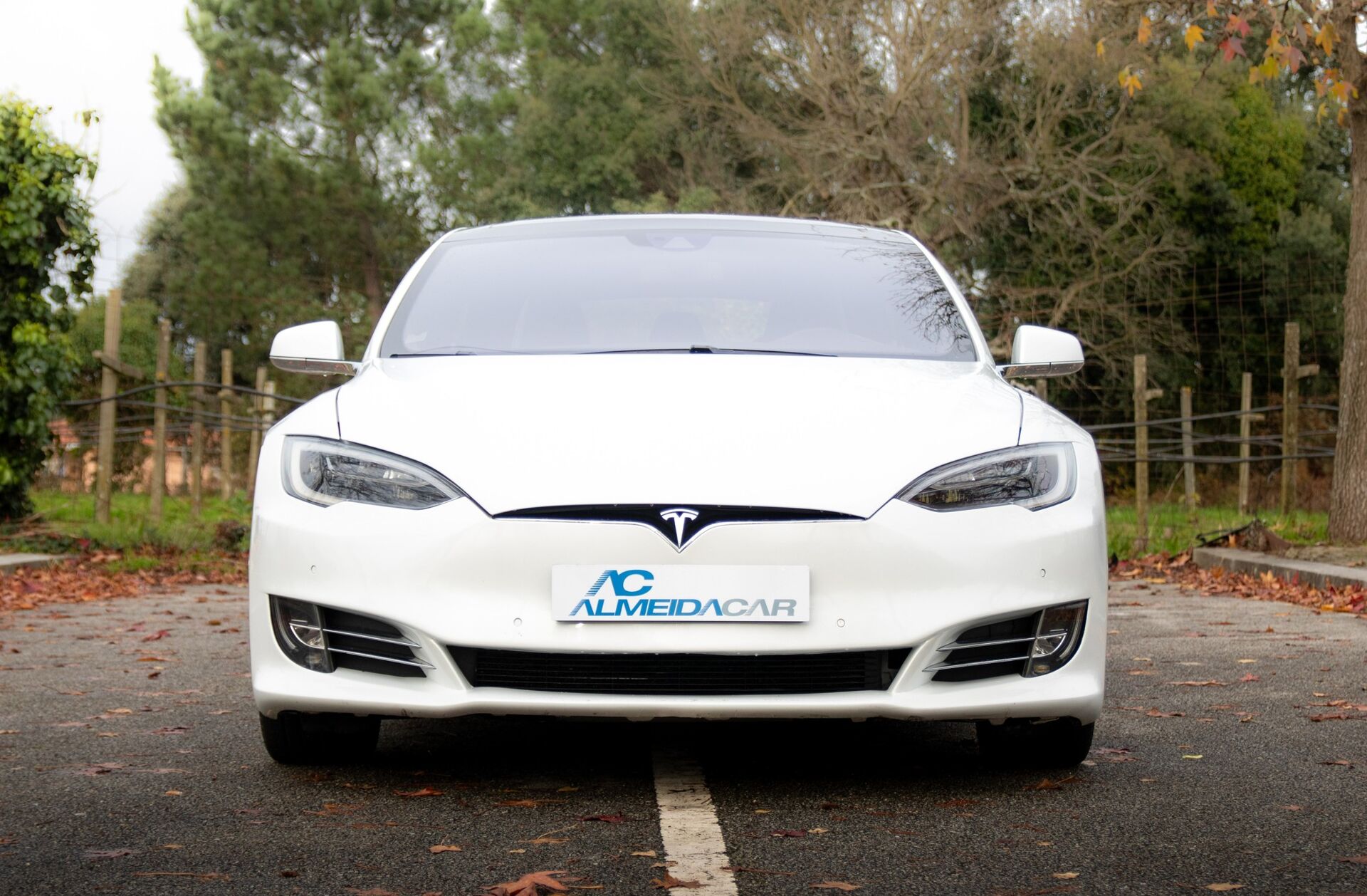 TESLA Model S 90D