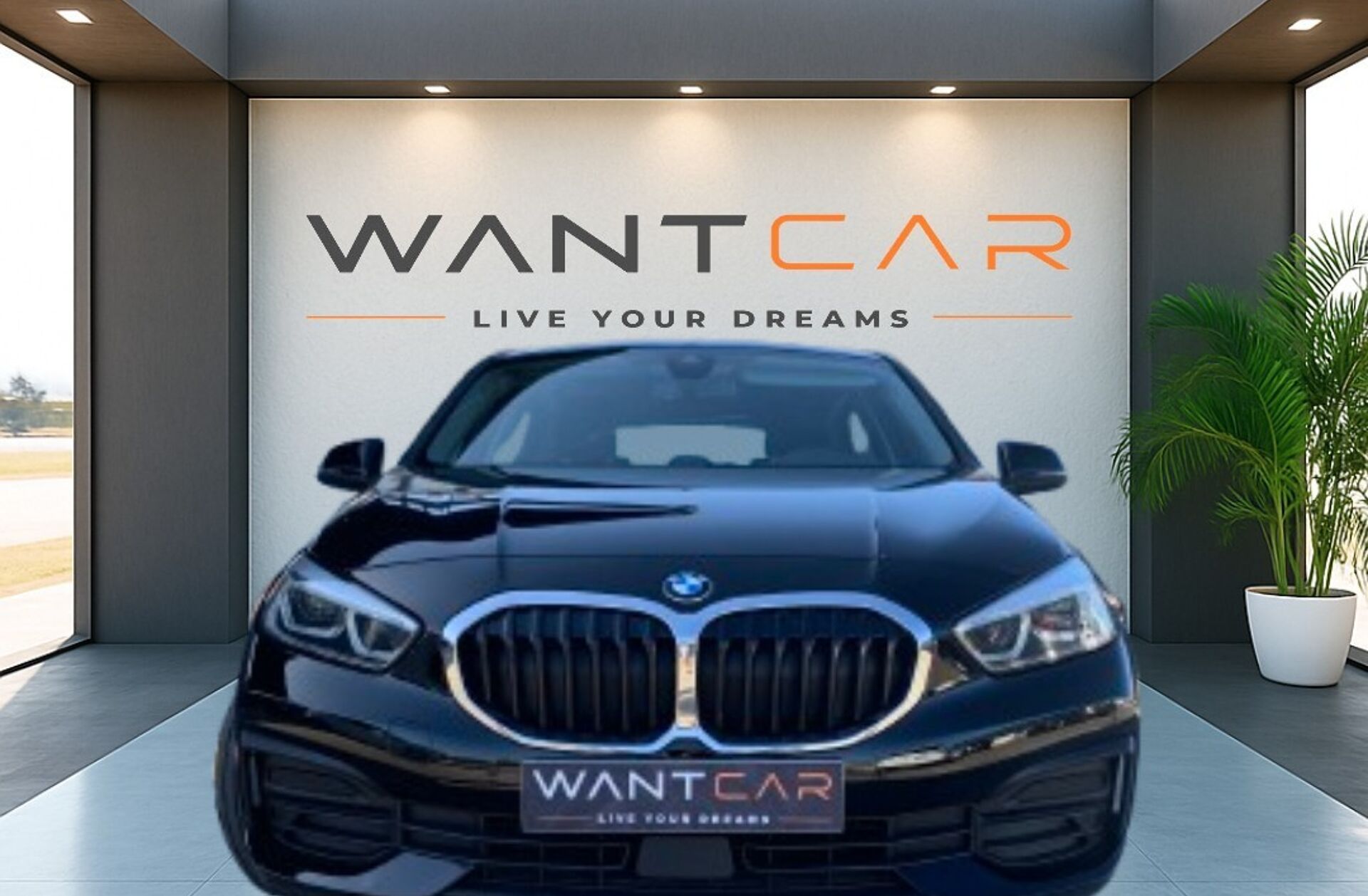 BMW Serie-1 116 d Advantage Auto