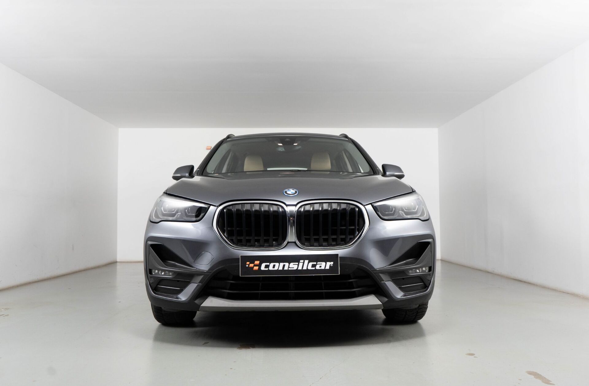 BMW X1 25 e xDrive