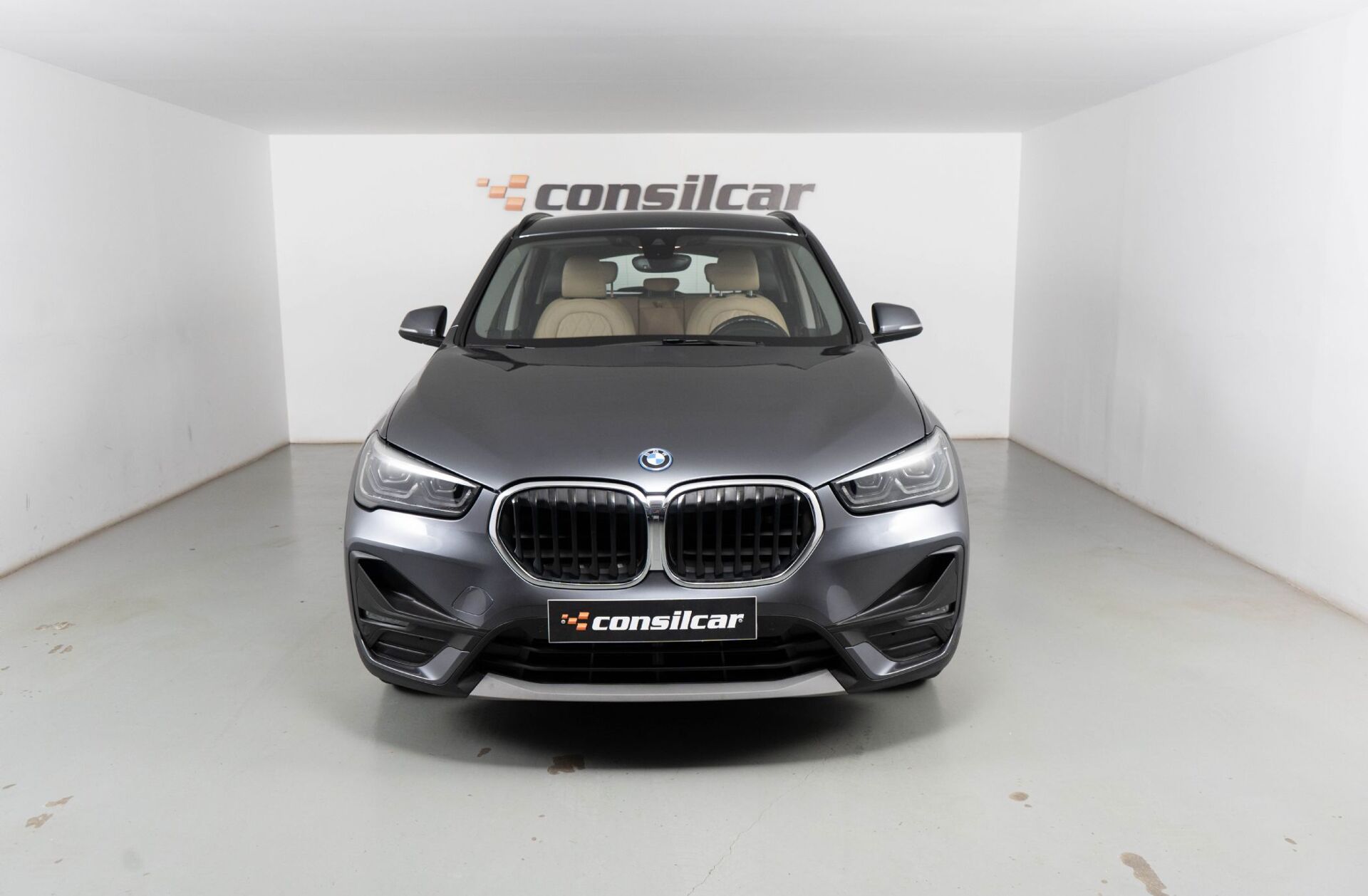 BMW X1 25 e xDrive