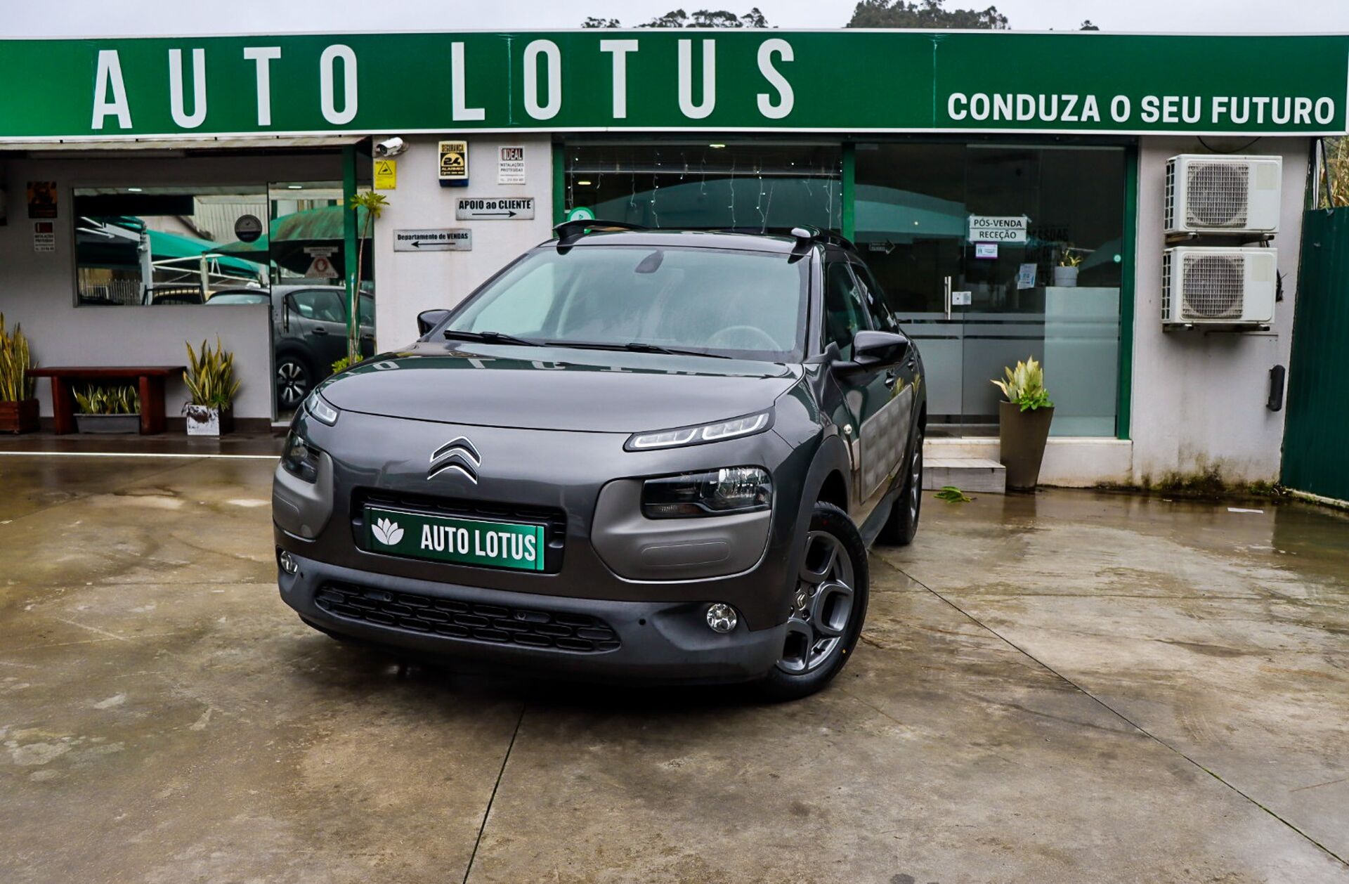 CITROEN C4 Cactus 1.2 PureTech Shine EAT6