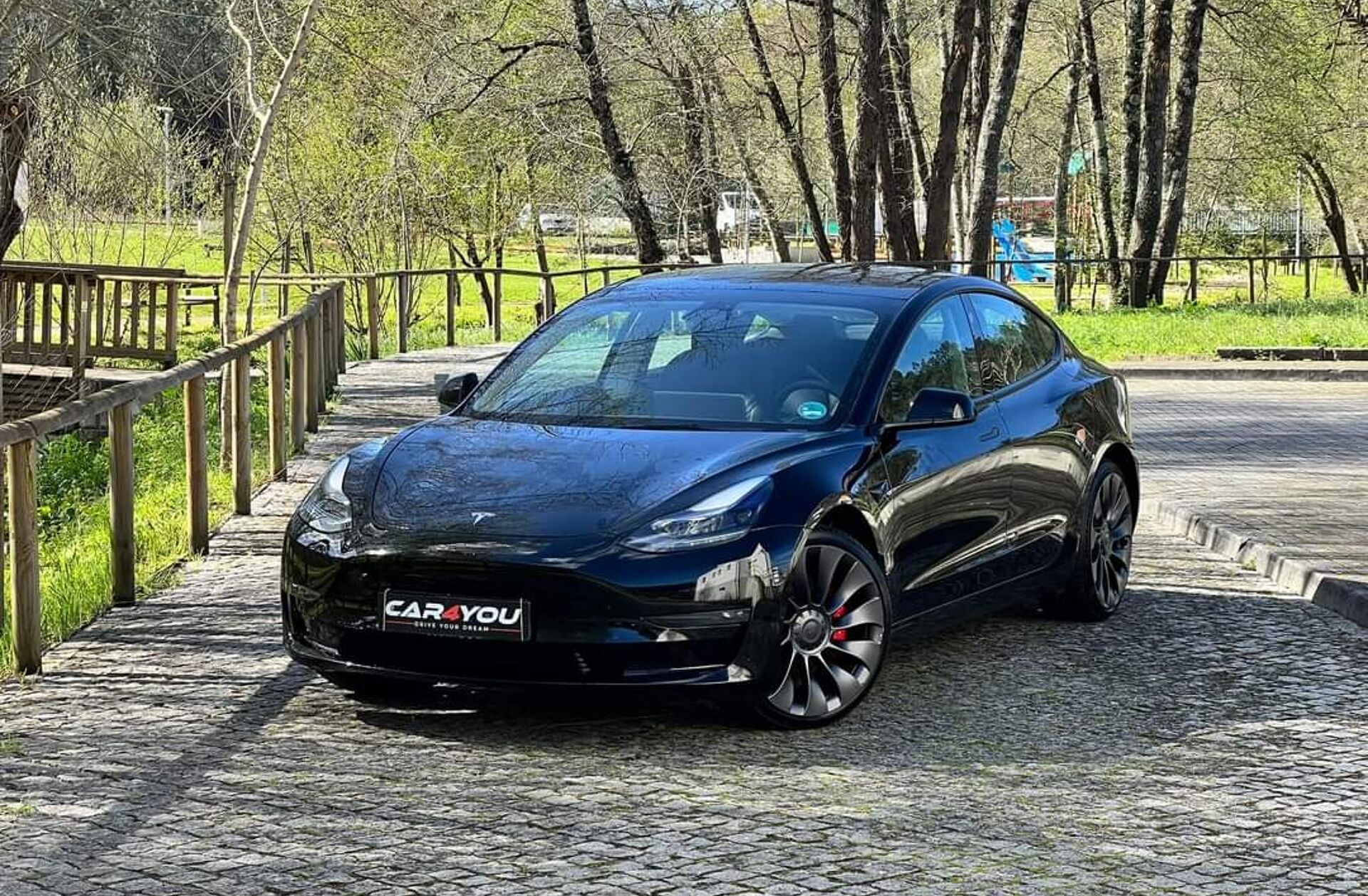 TESLA Model 3 Performance Tração Integral