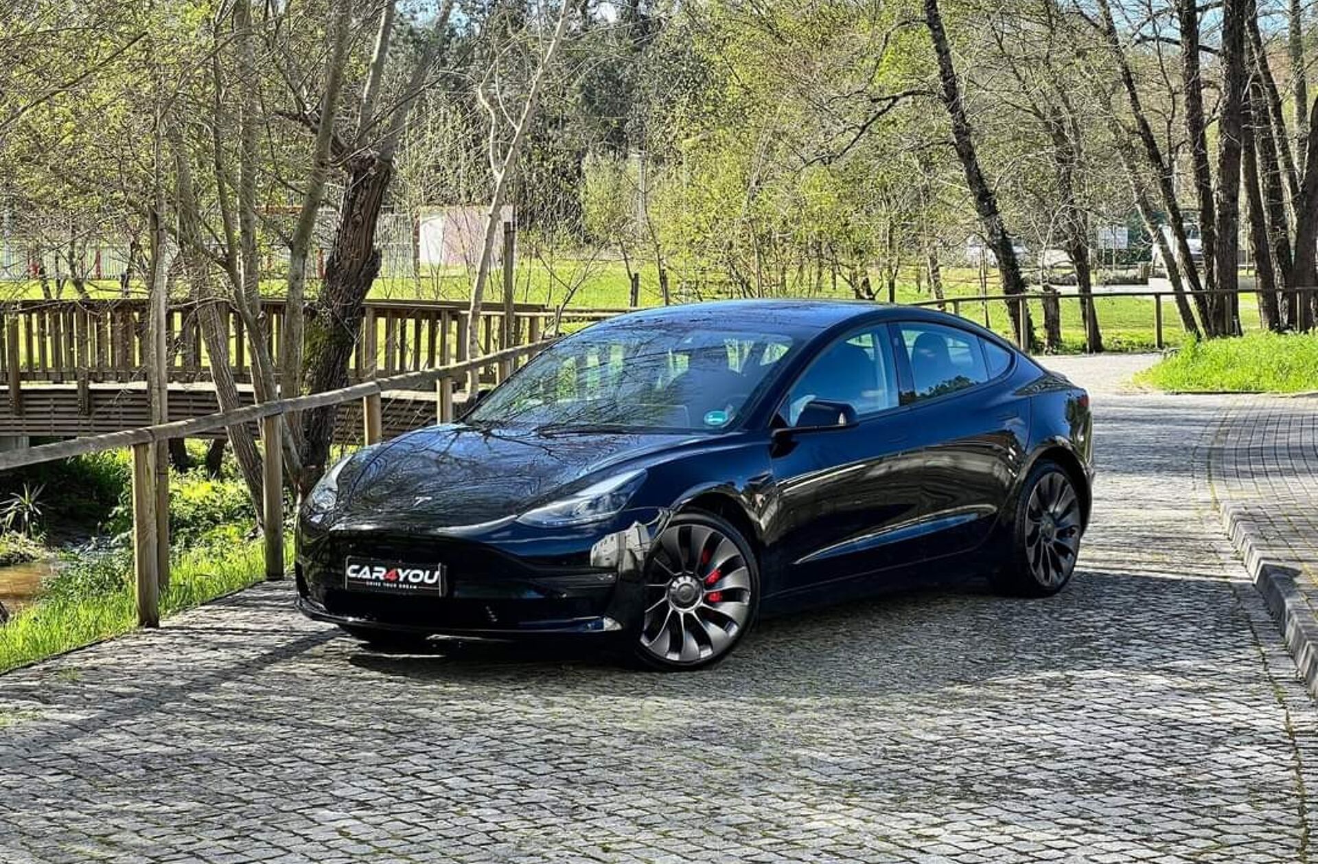 TESLA Model 3 Performance Dual Motor AWD