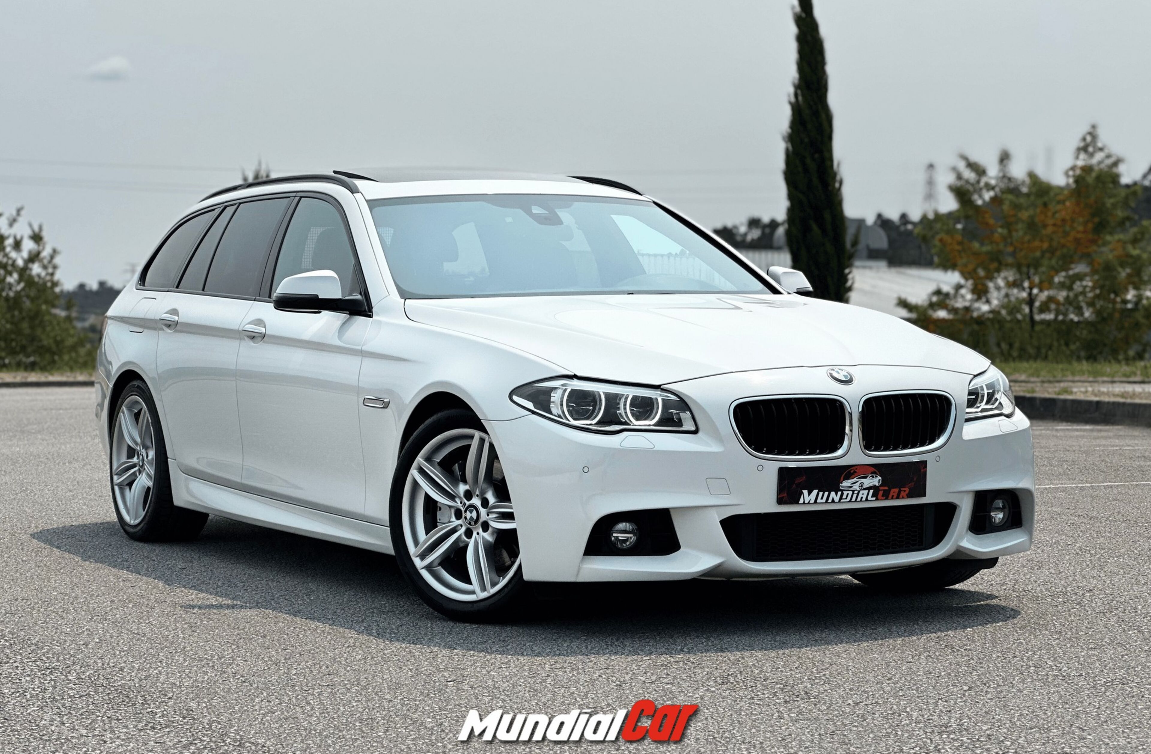 BMW Serie-5 530 d Pack M Auto
