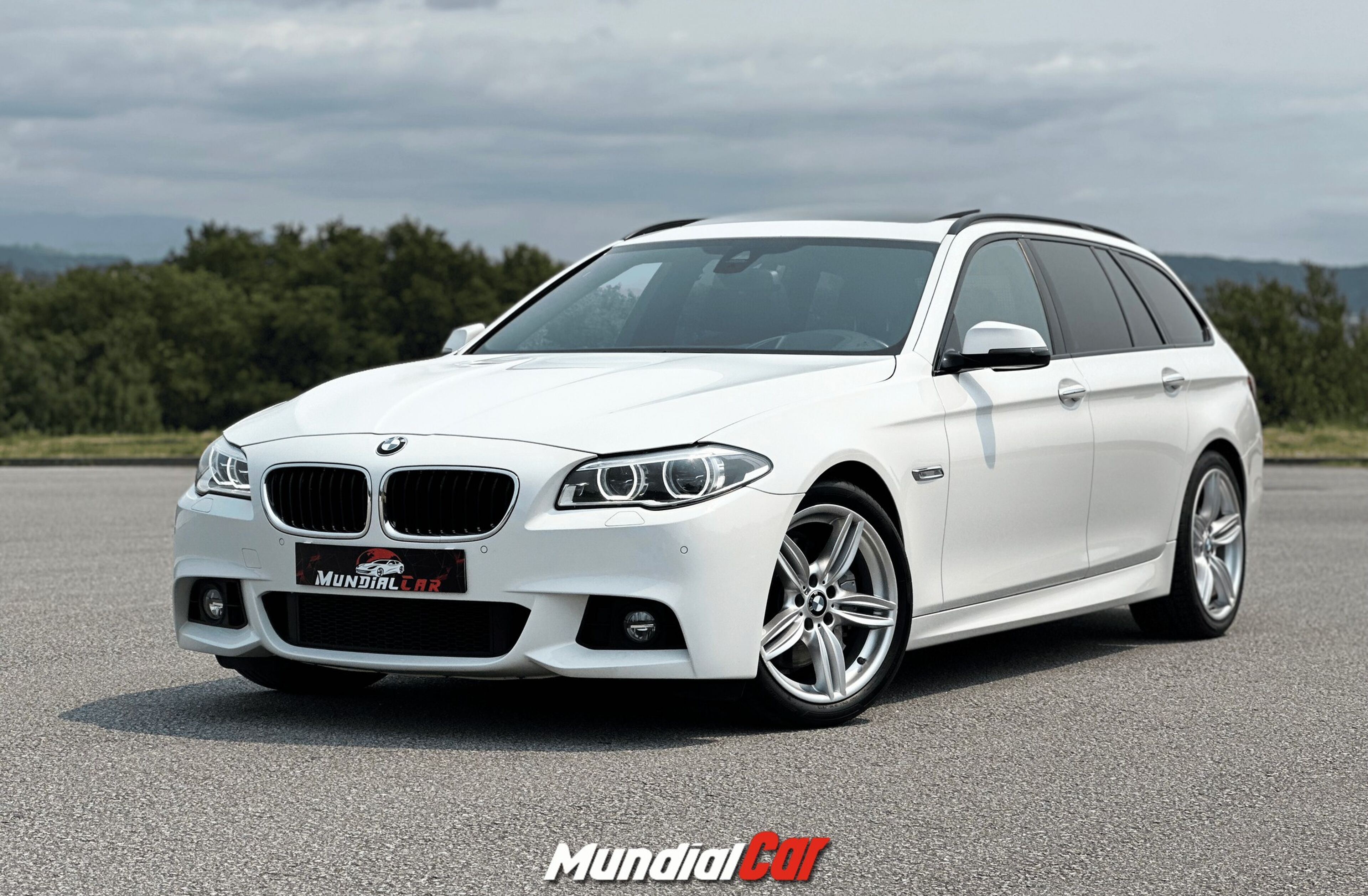BMW Serie-5 530 d Pack M Auto