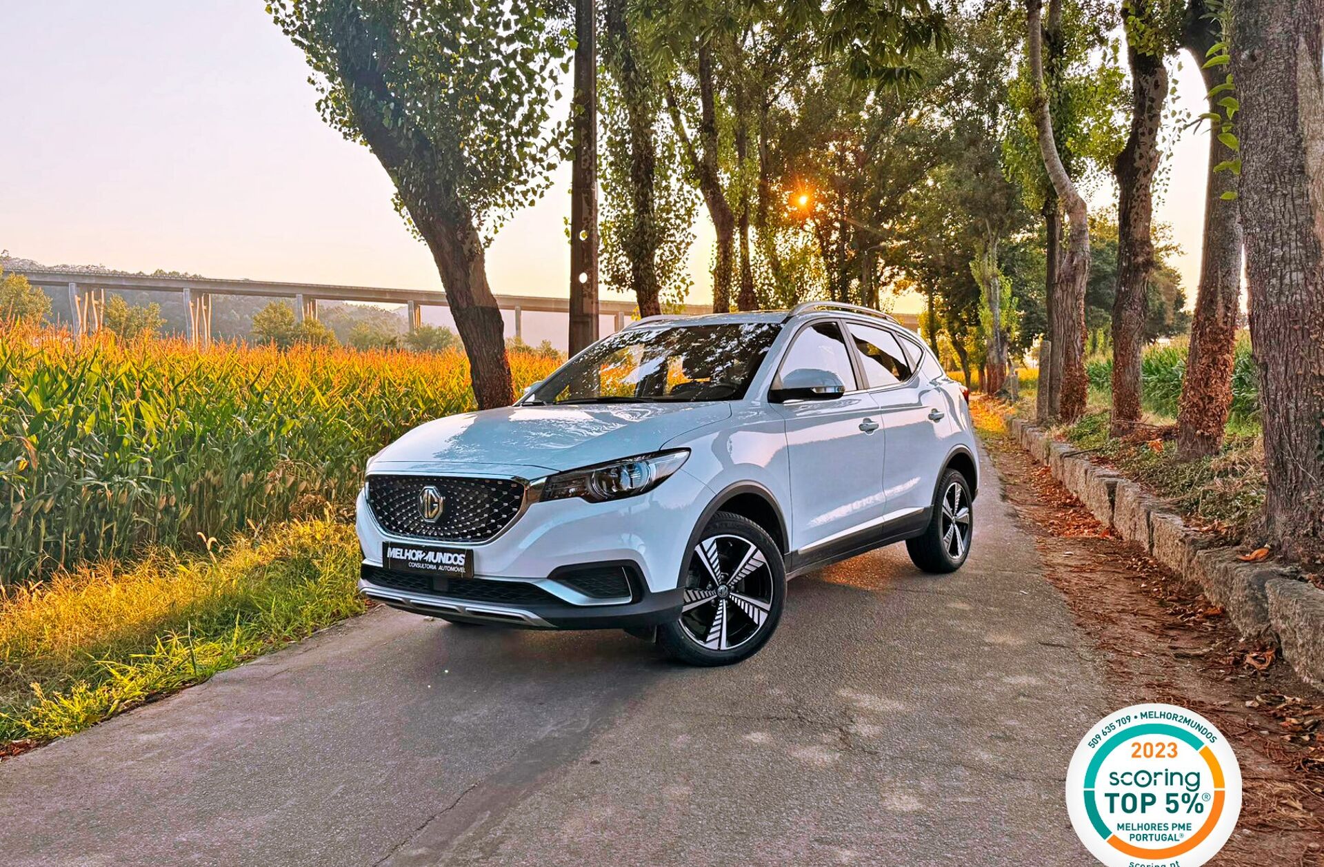 MG ZS 44.5 kWh Luxury