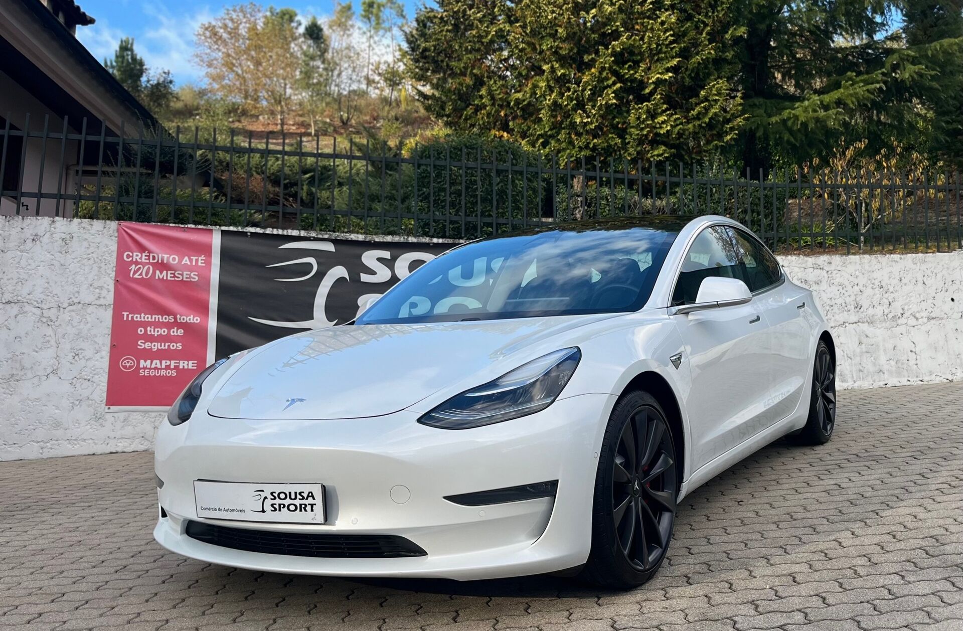 TESLA Model 3 Performance Dual Motor AWD