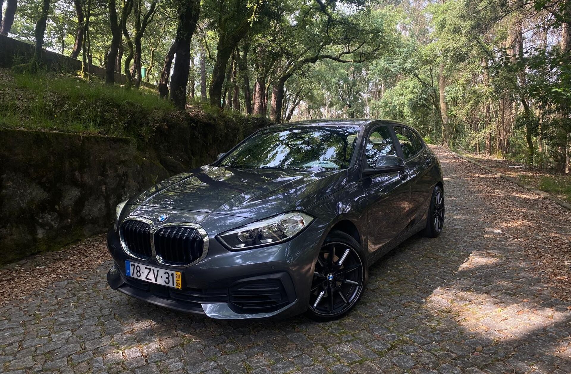 BMW Serie-1 118 i Corporate Edition Auto