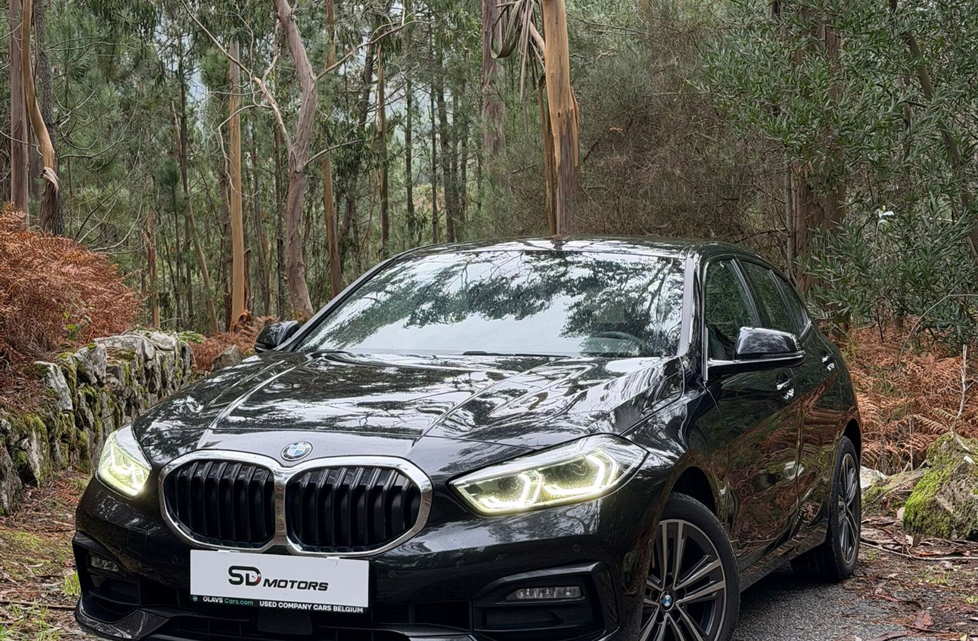 BMW Serie-1 118 d Line Sport