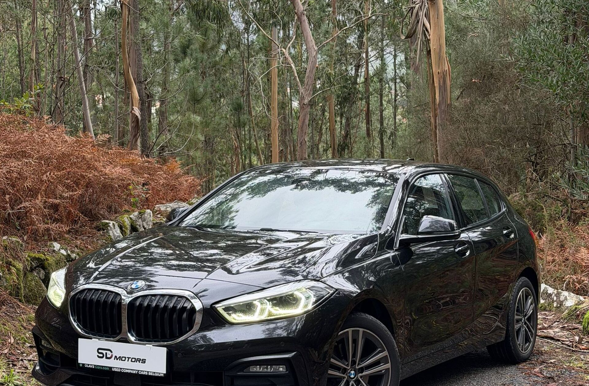 BMW Serie-1 118 d Line Sport