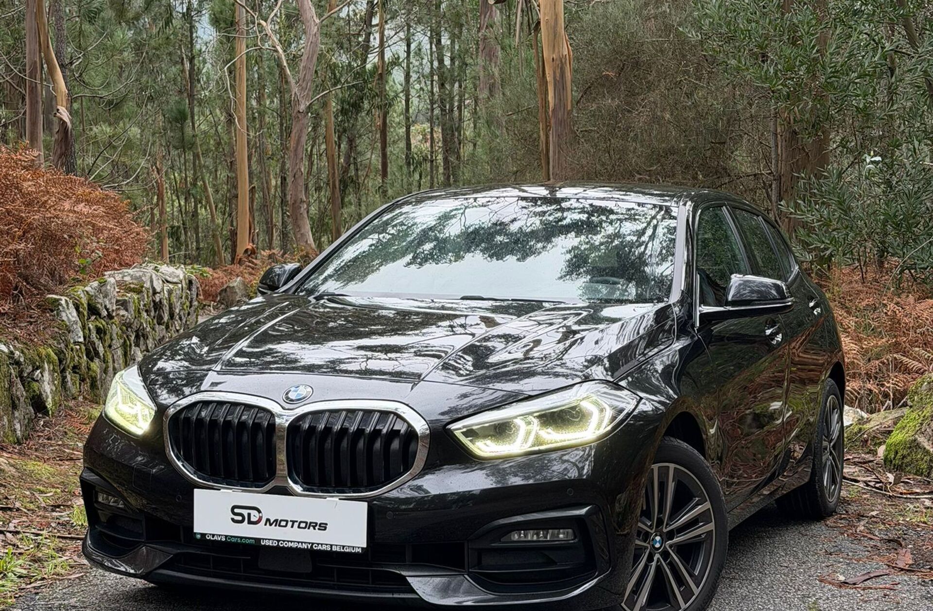 BMW Serie-1 118 d Line Sport