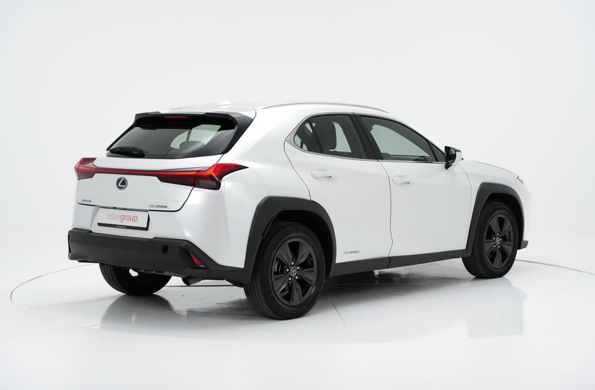LEXUS UX 250h Business