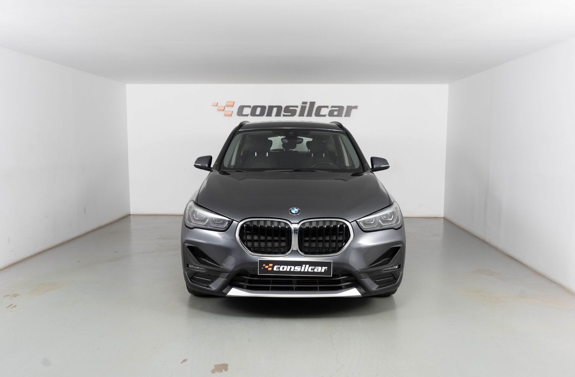 BMW X1 25 e xDrive Corporate Edition