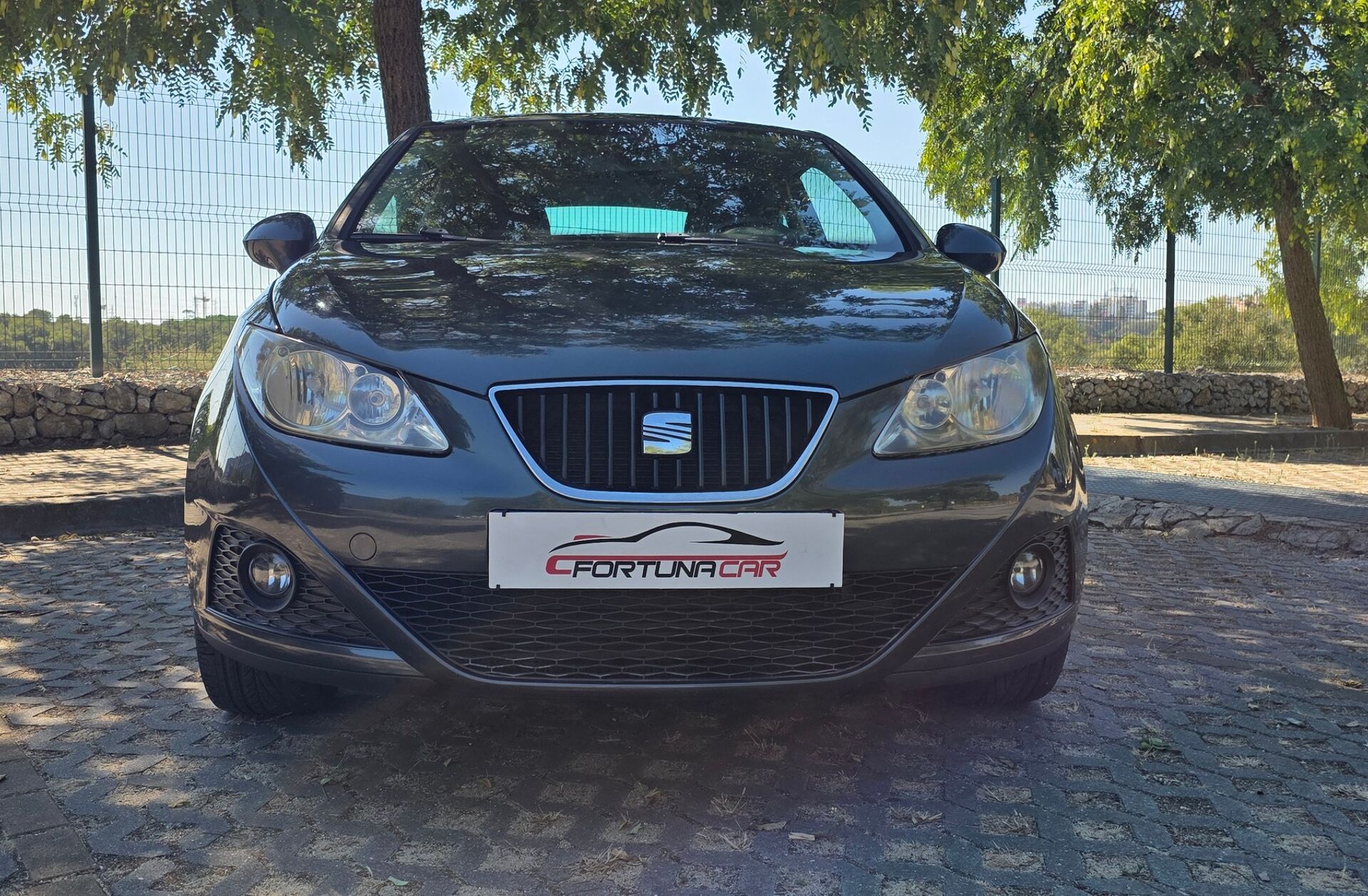 SEAT Ibiza 1.4 TDi Sport DPF