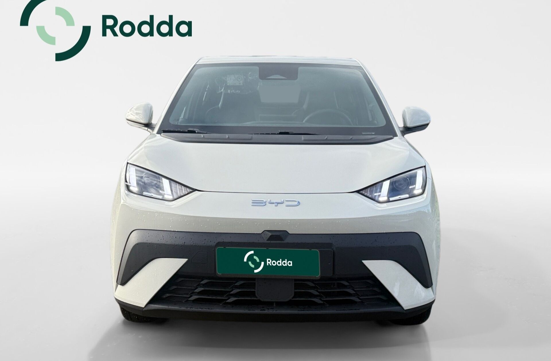 BYD Dolphin 60.4 kWh Design