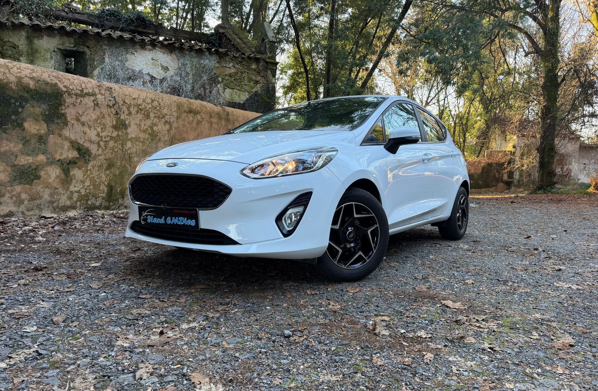 FORD Fiesta 1.5 TDCi Business