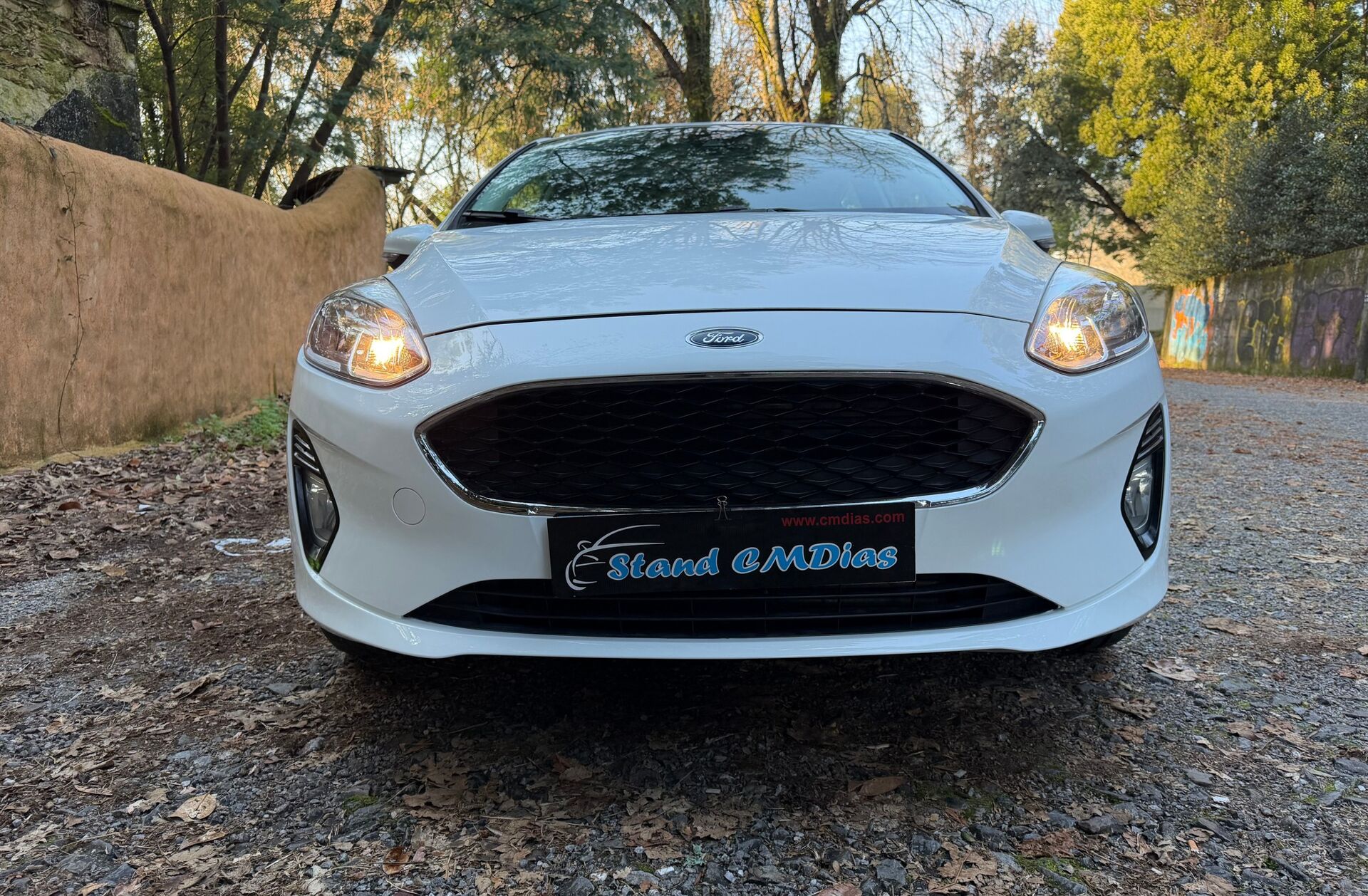 FORD Fiesta 1.5 TDCi Business