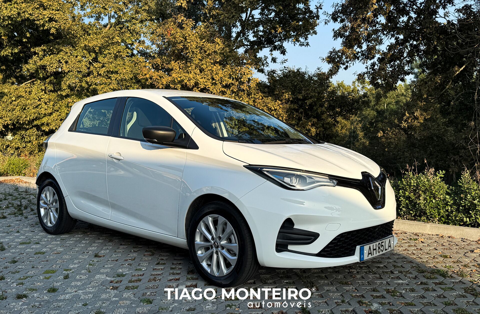 RENAULT ZOE Intens 50