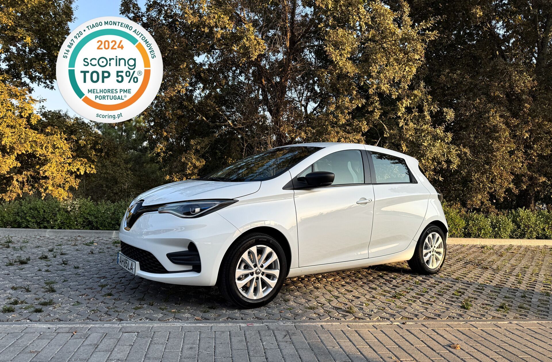 RENAULT ZOE Intens 50