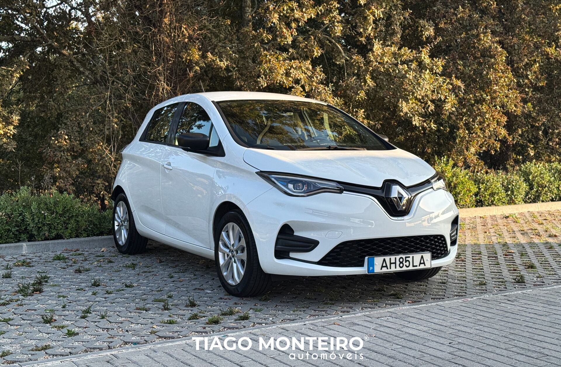 RENAULT ZOE Intens 50
