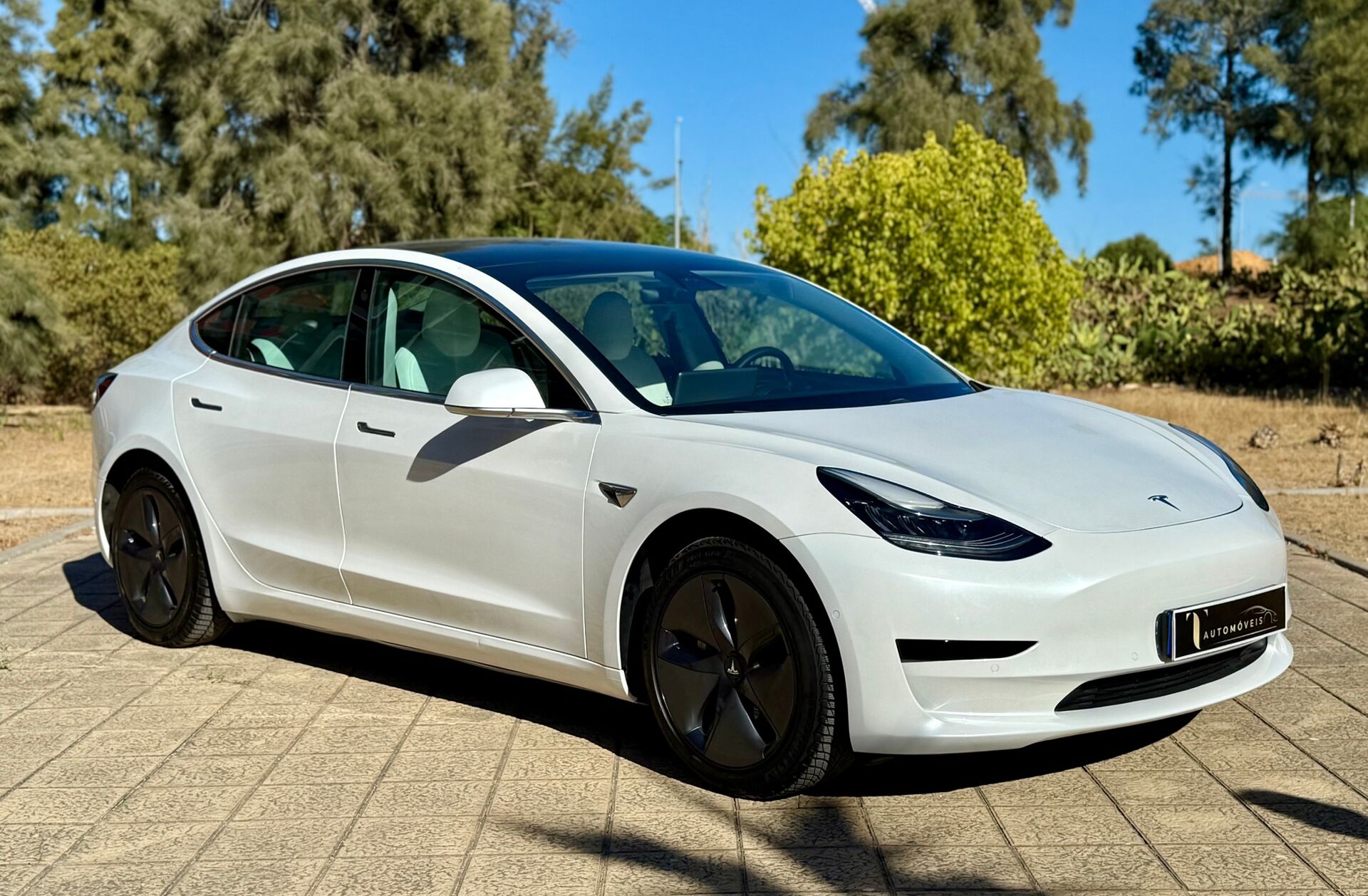 TESLA Model 3 Standard Range Plus RWD