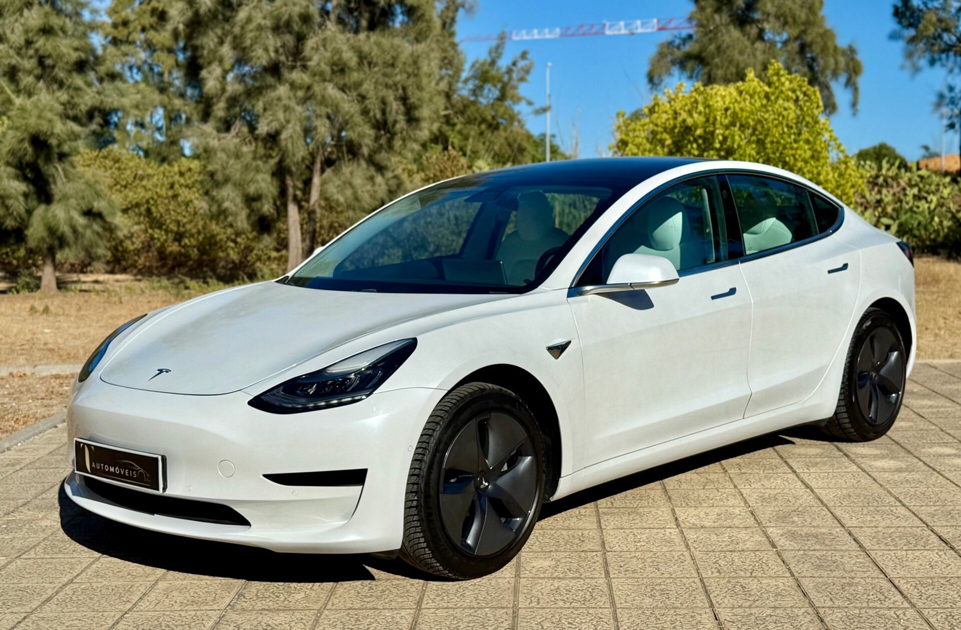 TESLA Model 3 Standard Range Plus RWD