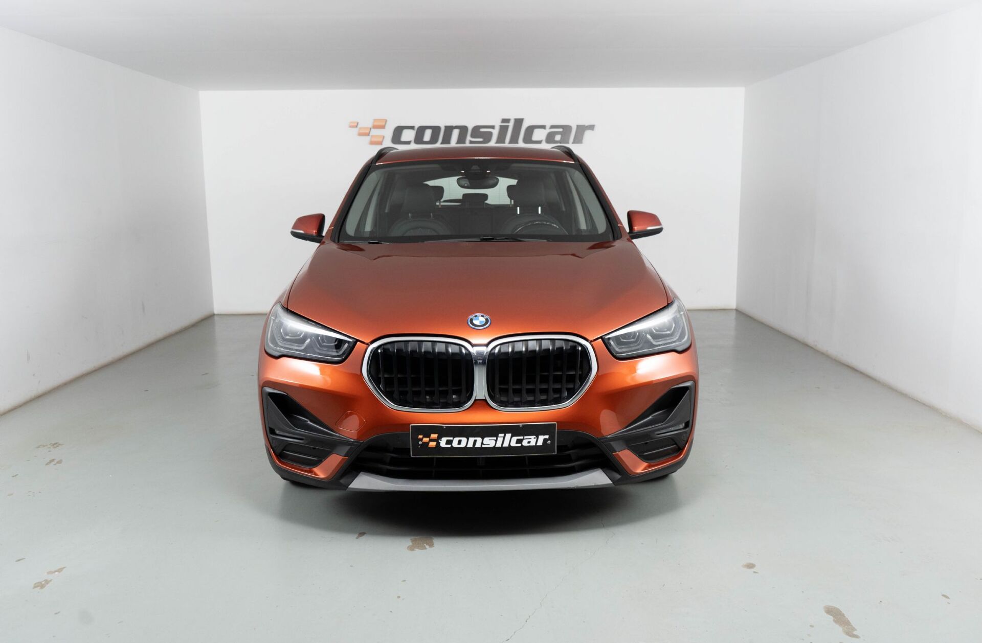 BMW X1 25 e xDrive Corporate Edition