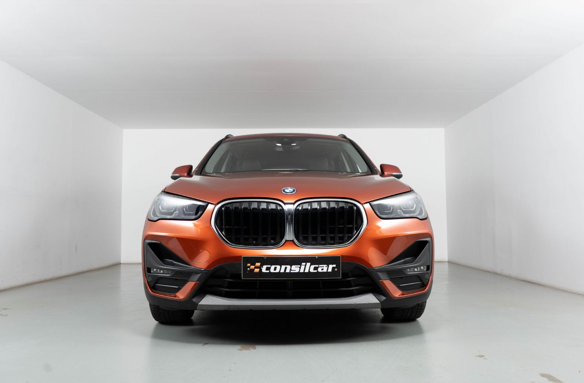 BMW X1 25 e xDrive Corporate Edition