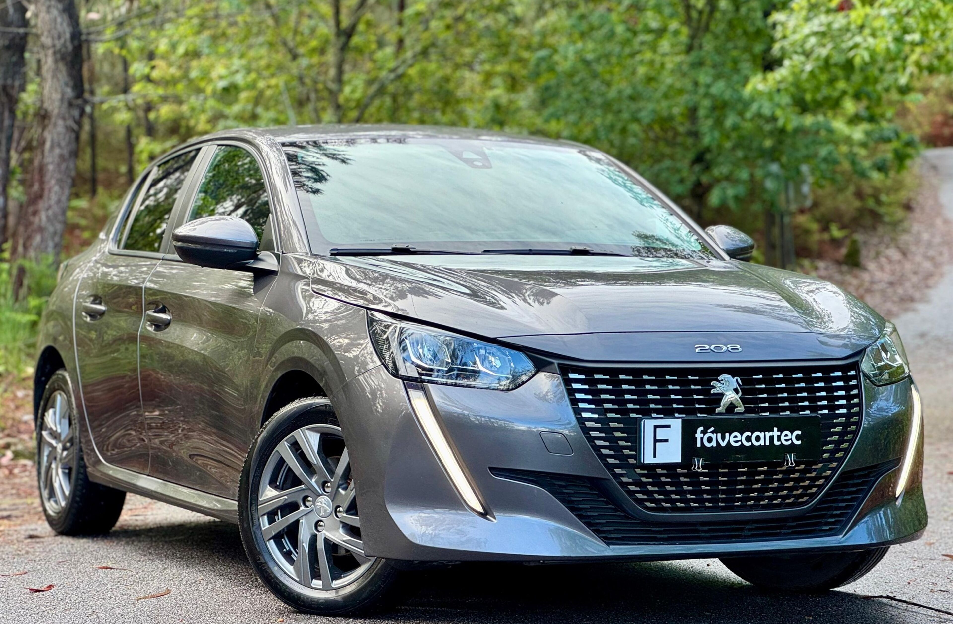 PEUGEOT 208 1.2 PureTech SE Style