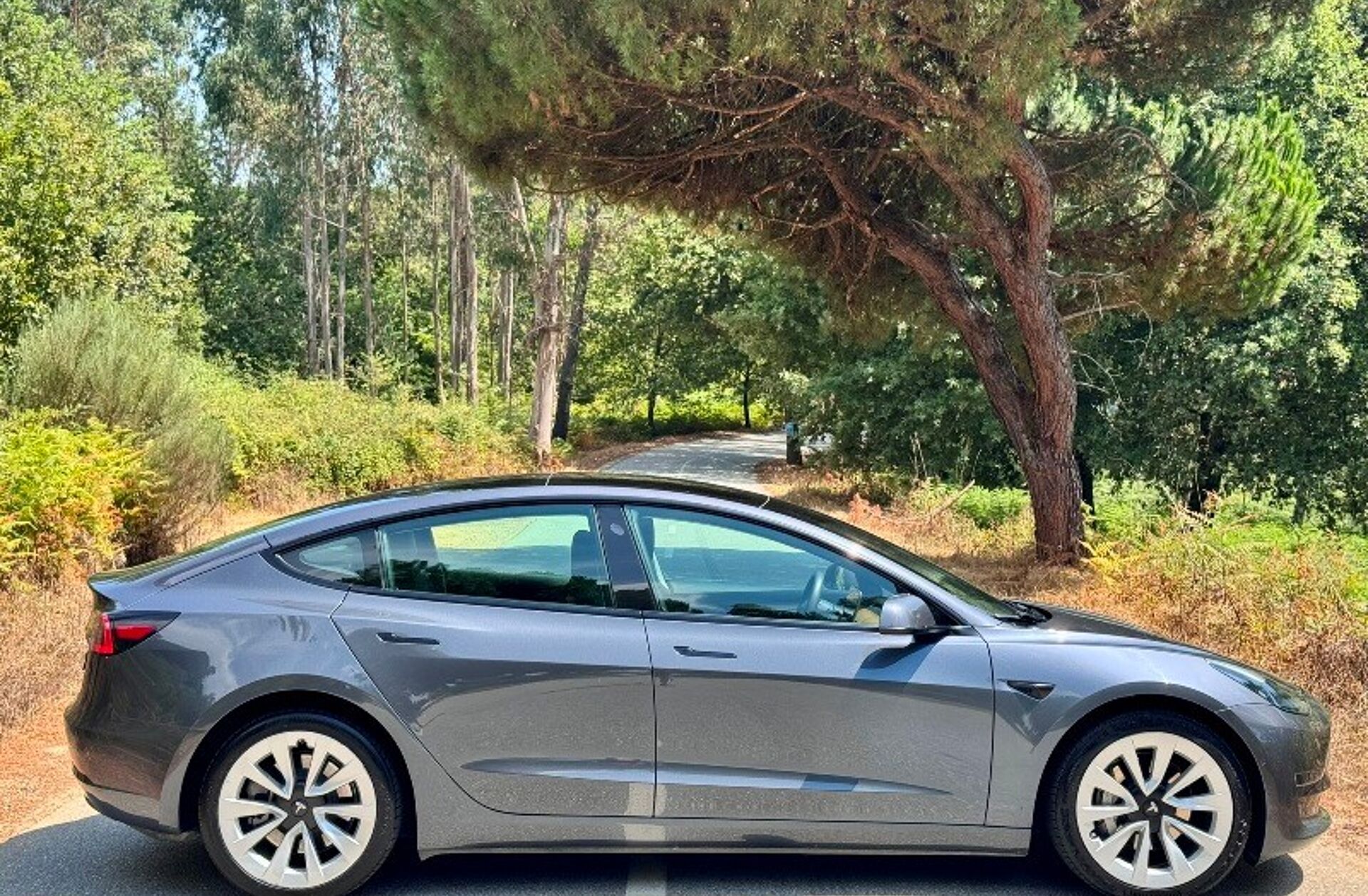 TESLA Model 3 Long Range Tração Integral