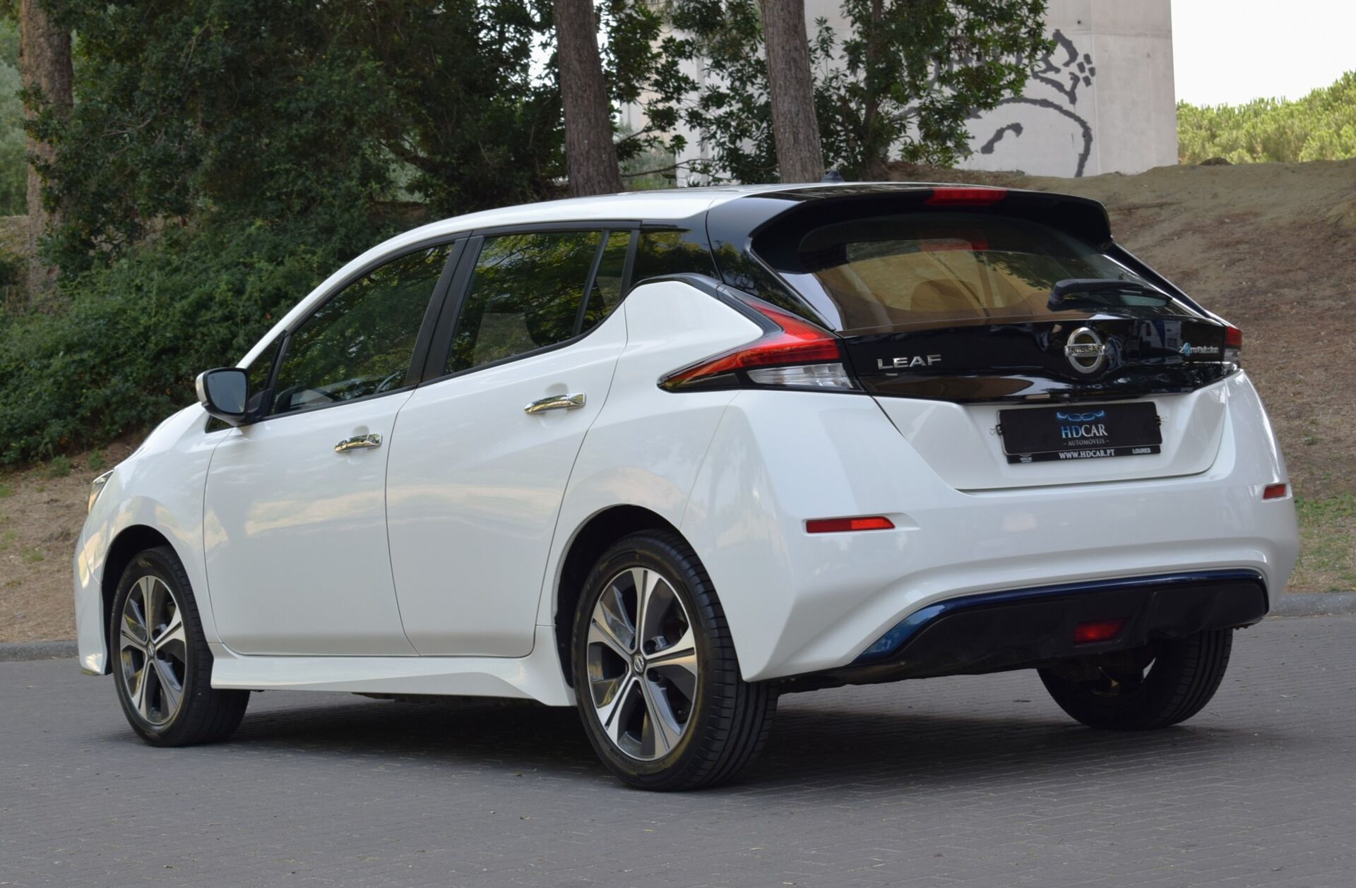 NISSAN Leaf e+ Acenta
