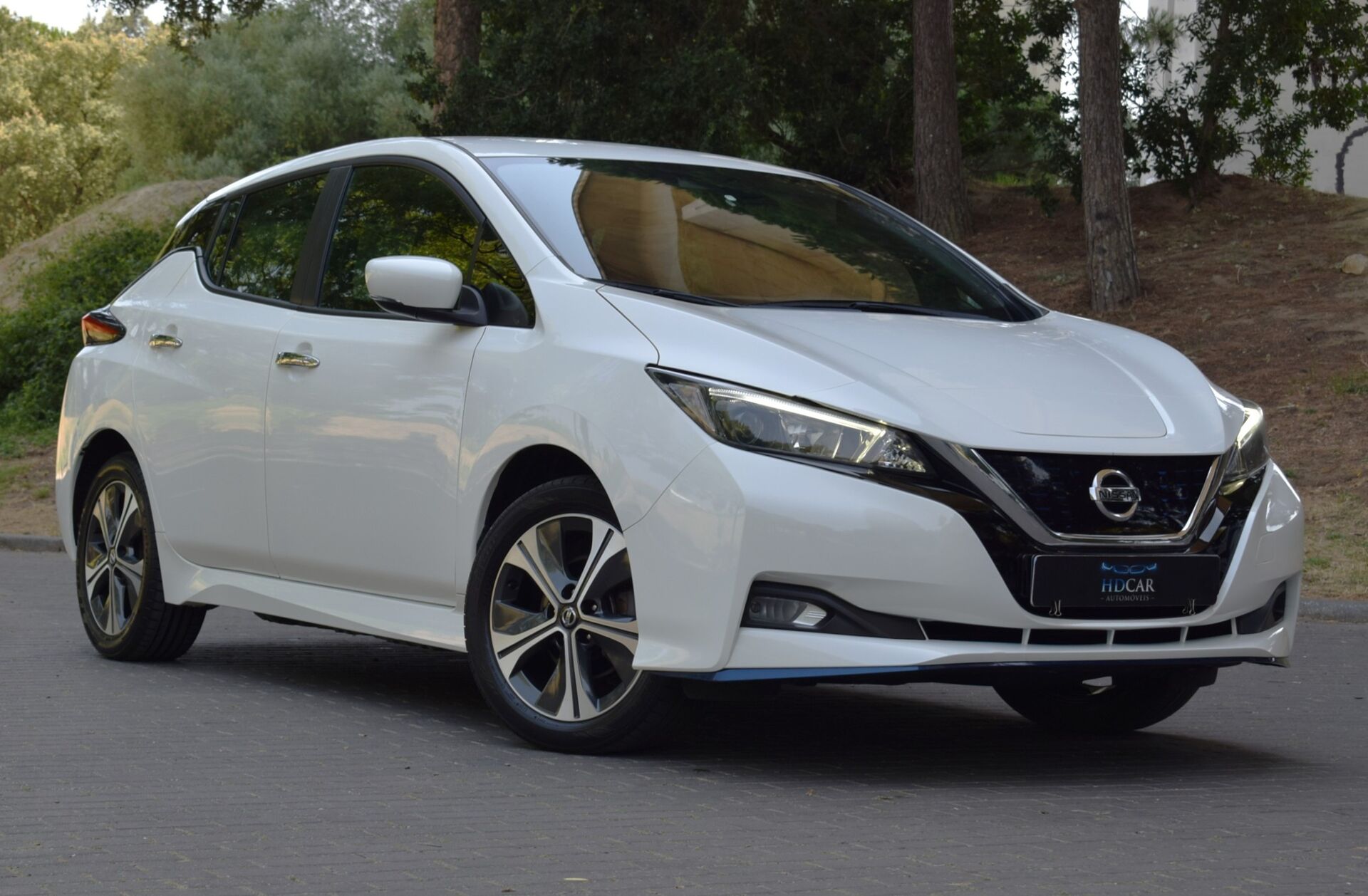 NISSAN Leaf e+ Acenta