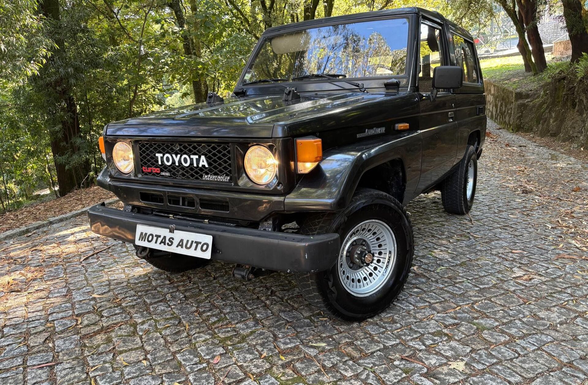 TOYOTA Land Cruiser 250 TD